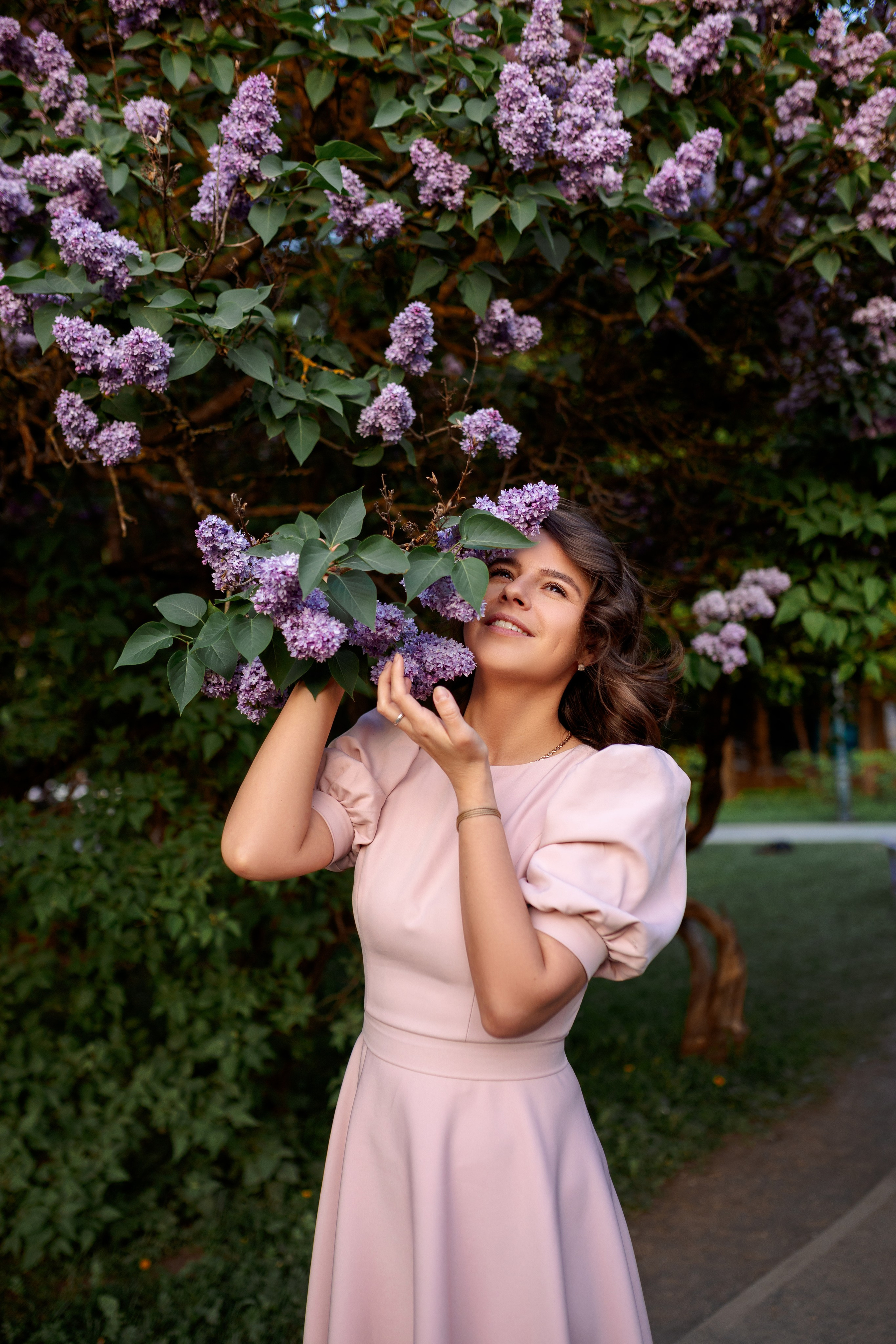 Цветение в сиреневом саду. Главная