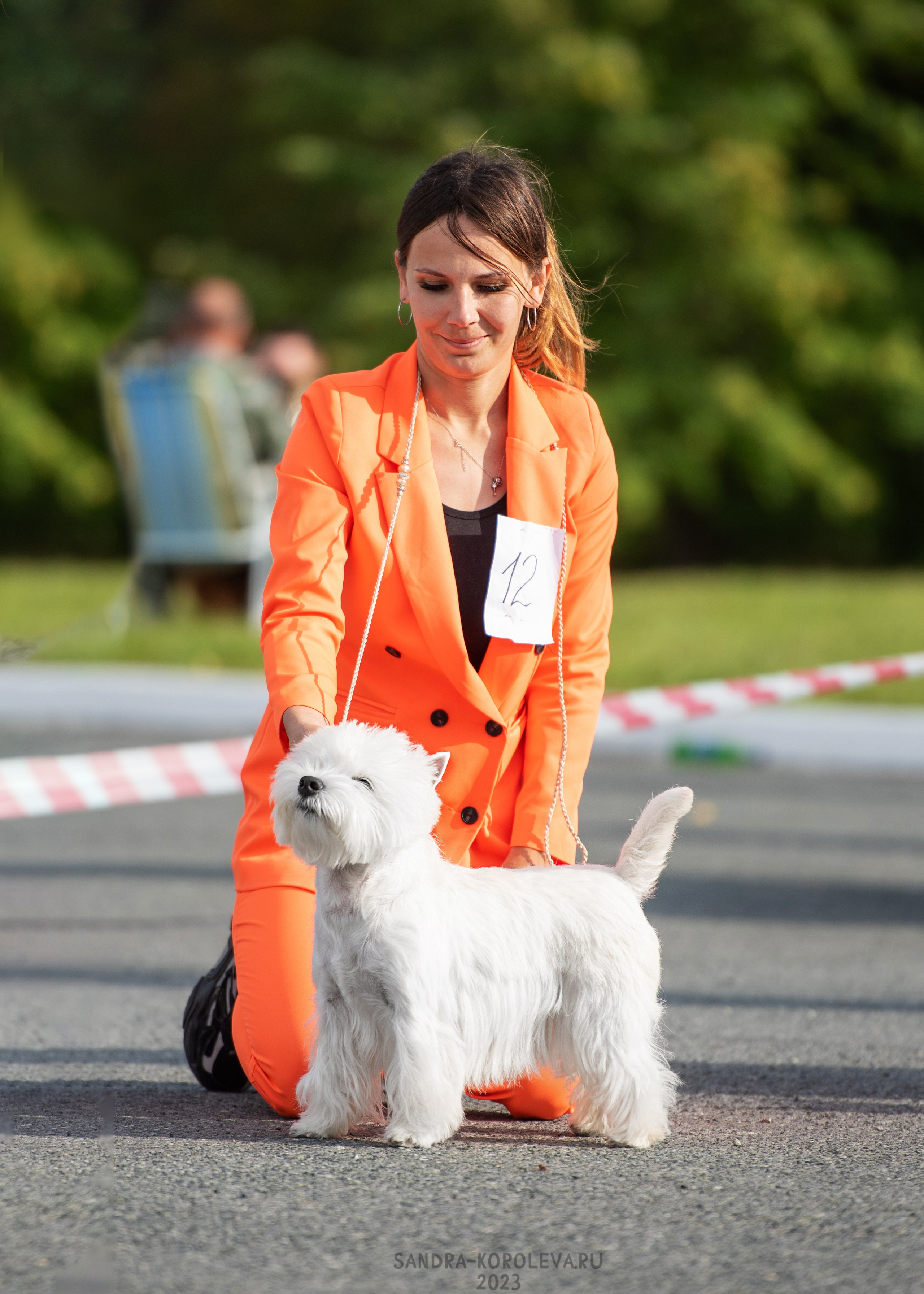 Выставка собак Тюмень 02.09.2023. Дог-фотограф в Тюмени Александра Королева
