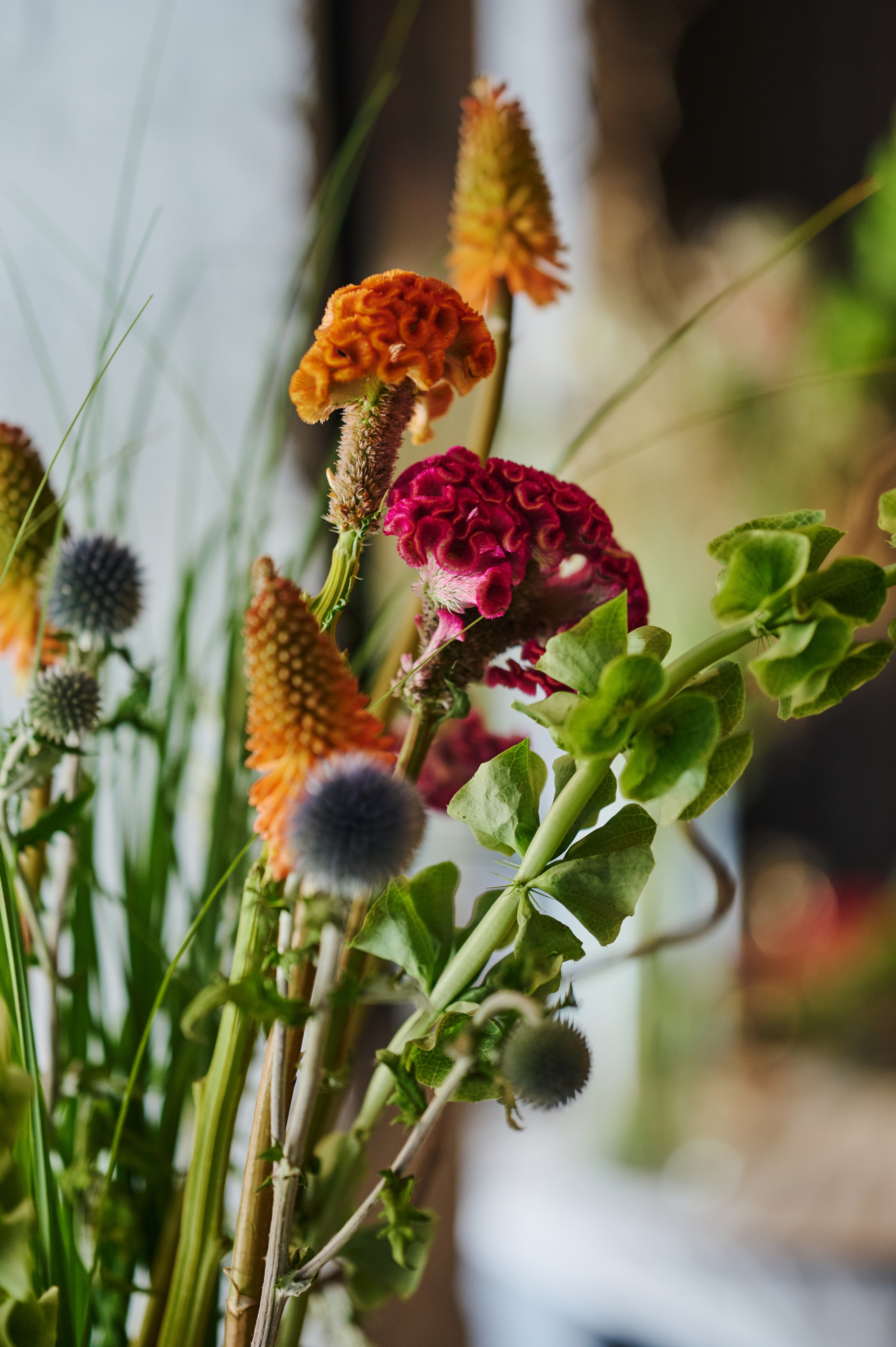 RUSHEV X 0,75please. Фотограф Сергей Бойко Москва