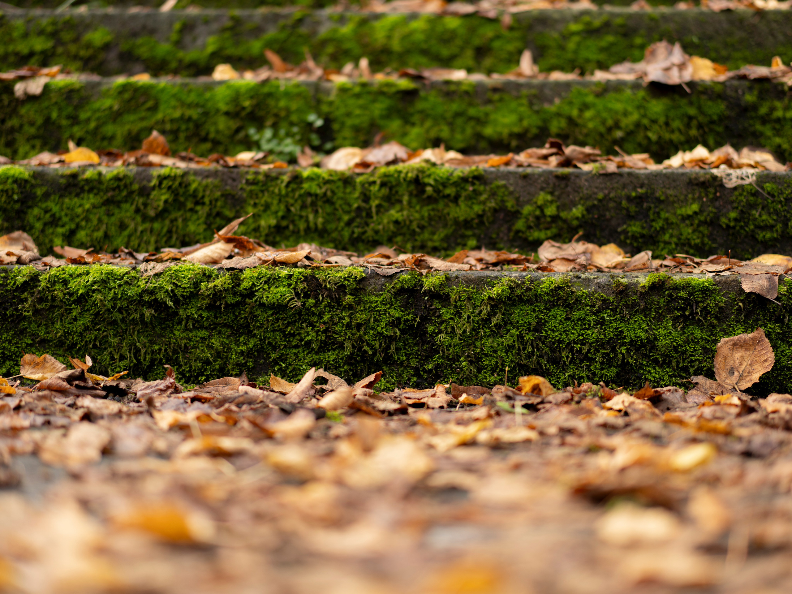 Италия. Зарисовки путешествий. Творческий фотограф Ирина Баландина.  Санкт-Петербург, Мурманск