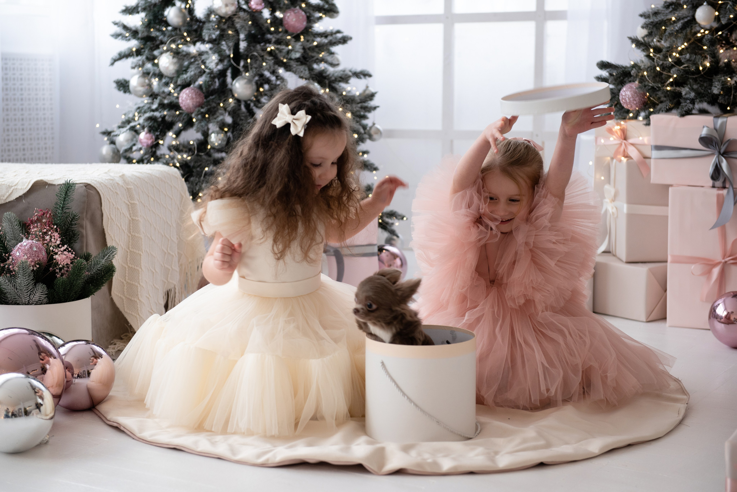 Новогодние. Свадебный и семейный Фотограф в Твери Сергей Скорода