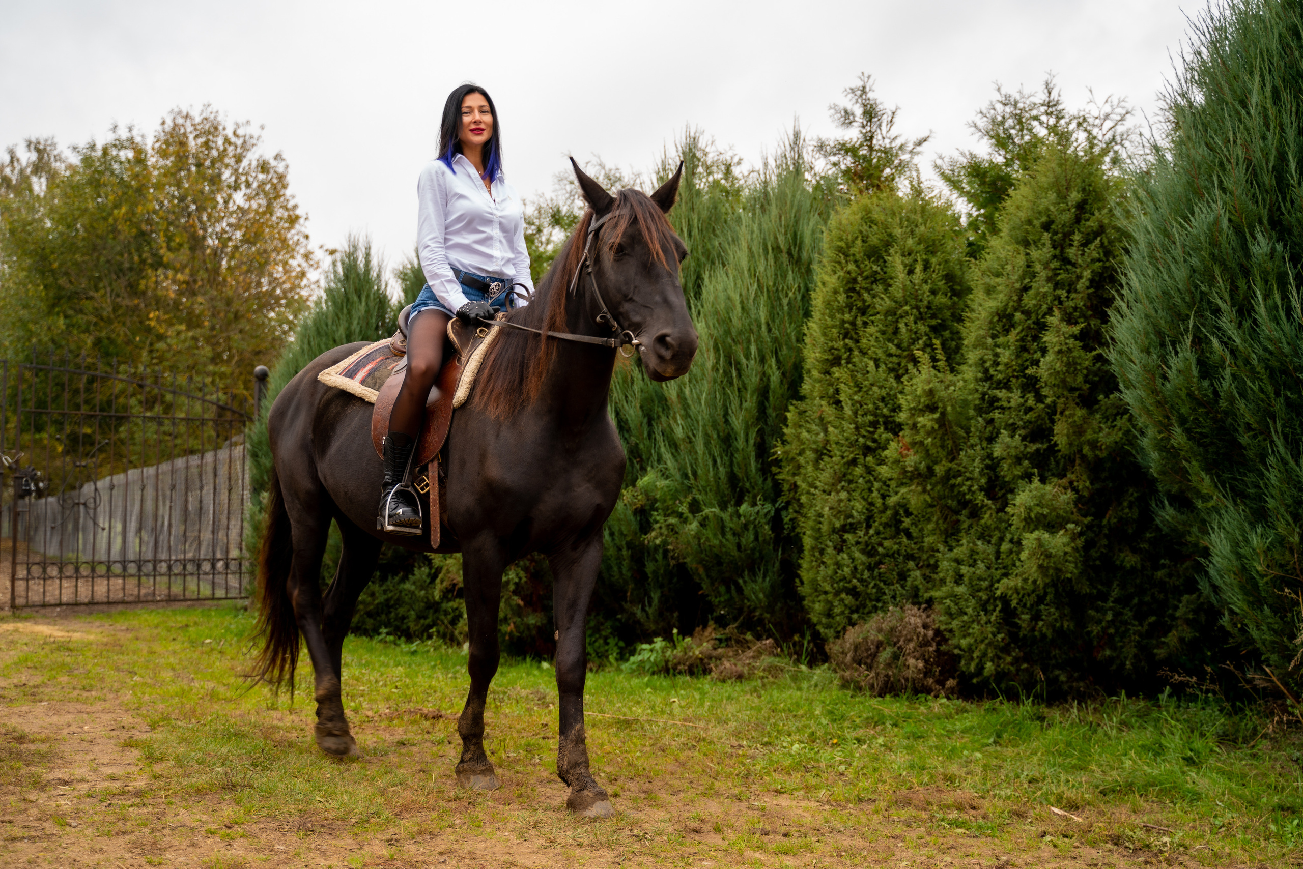 Фотосессия с Лошадьми. Свадебный и студийный фотограф в Москве Андрей Сопрано