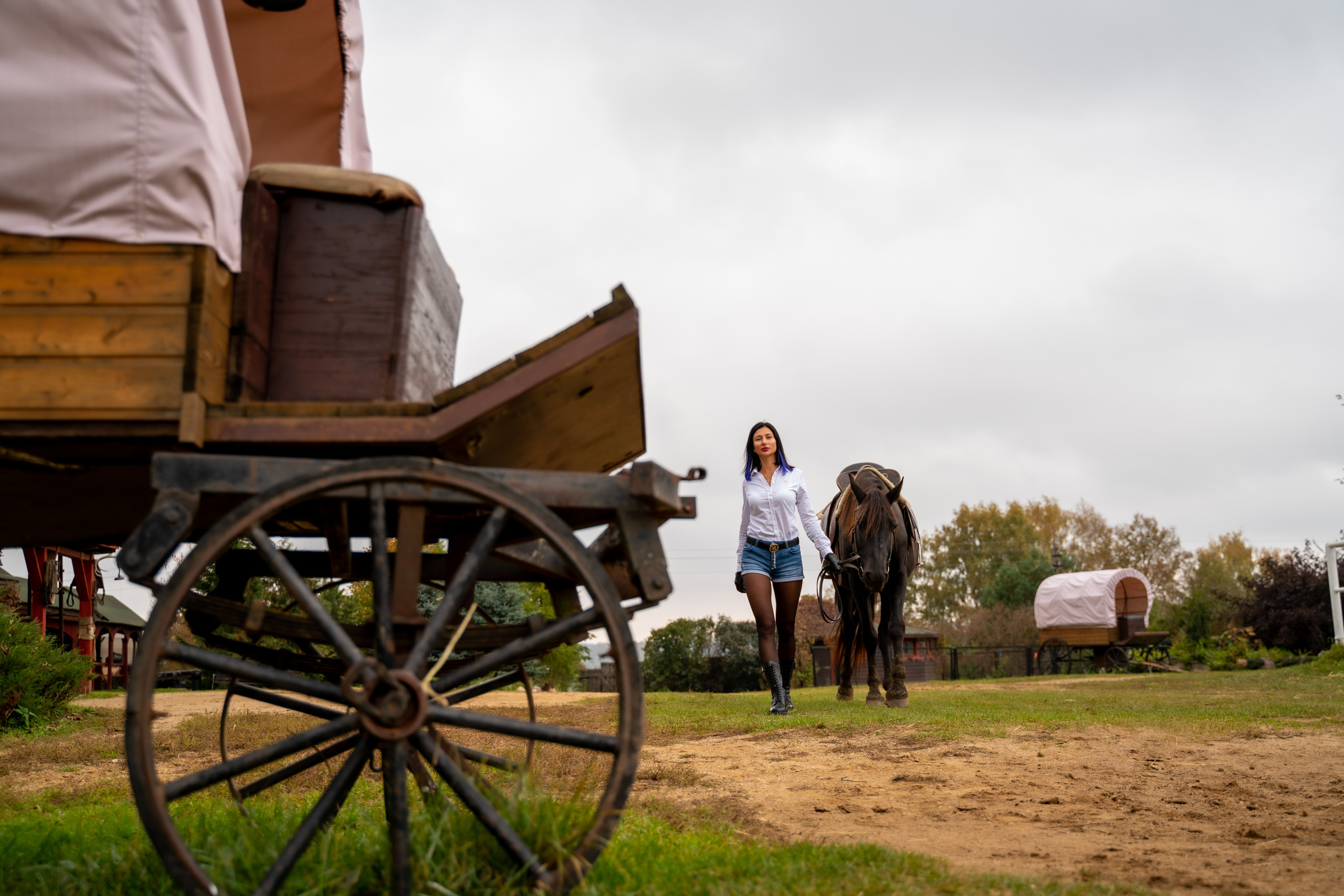 Фотосессия с Лошадьми. Свадебный и студийный фотограф в Москве Андрей Сопрано