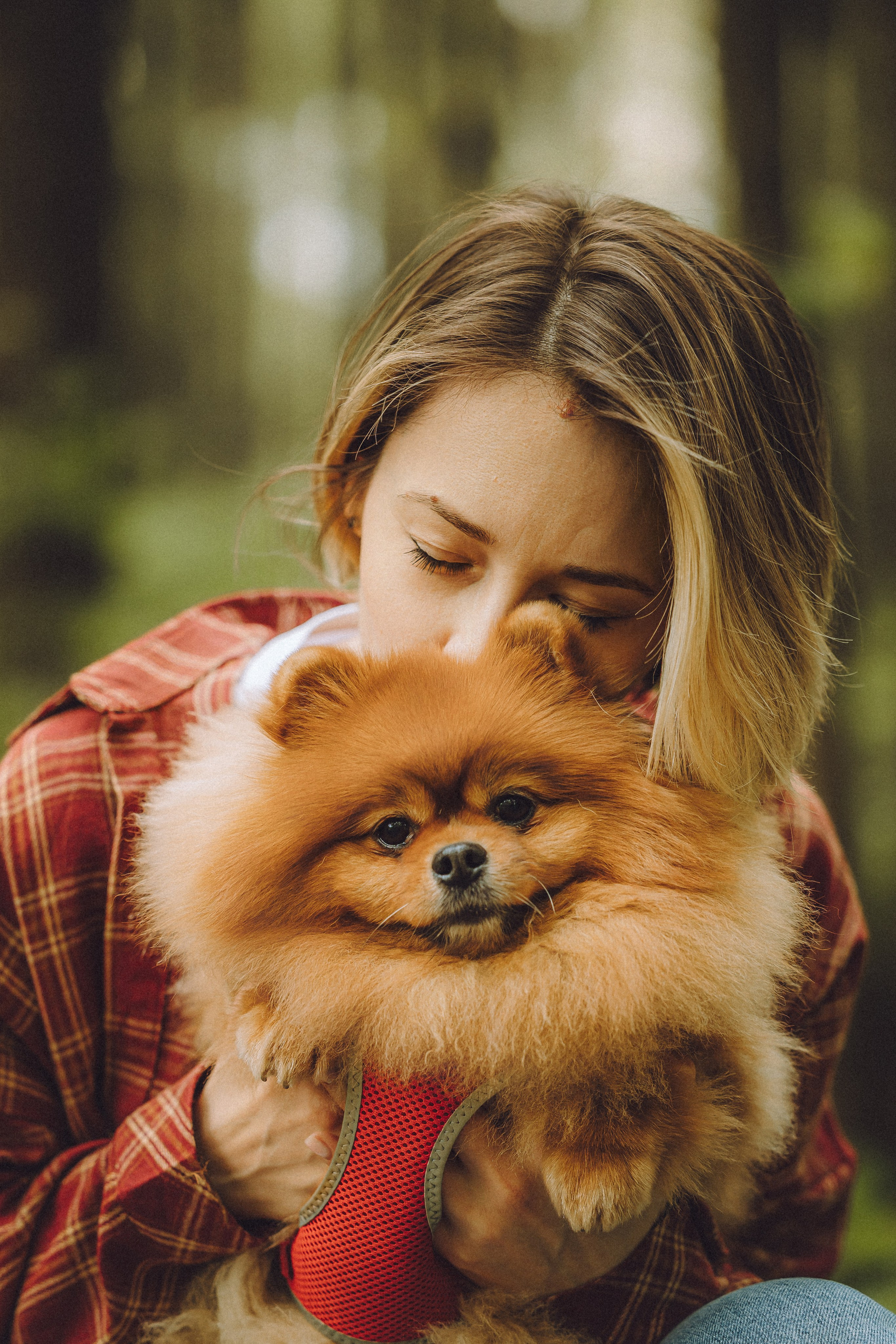 Лорик и его семья