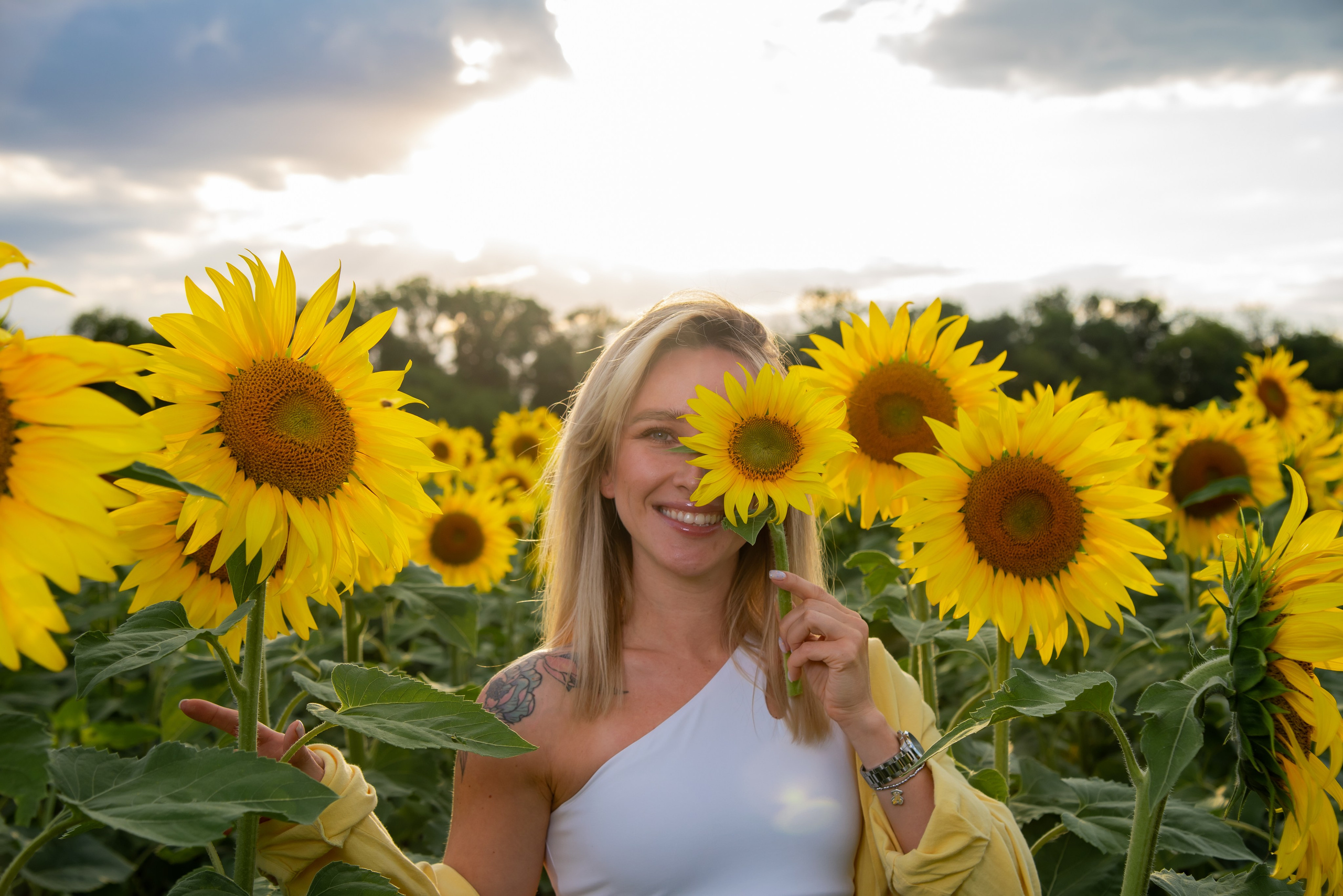 Подсолнух. Фотограф Галина Нестерова