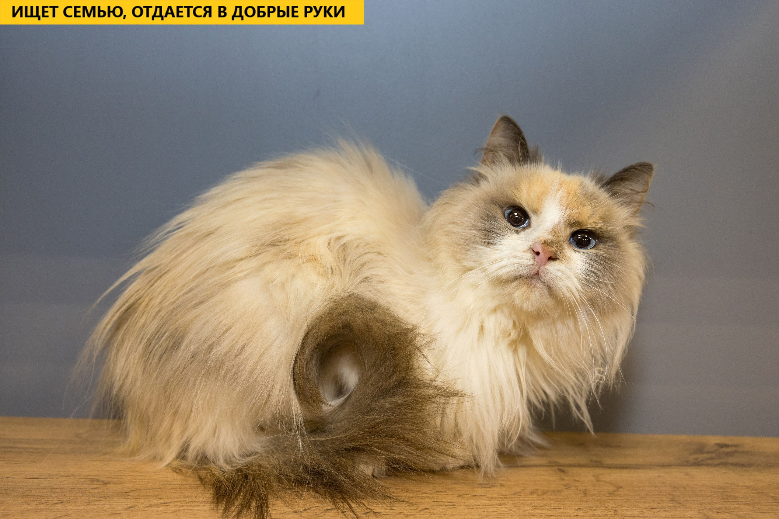 Рекламная съемка в Москве. Геннадий Степанов —фотограф в Москве