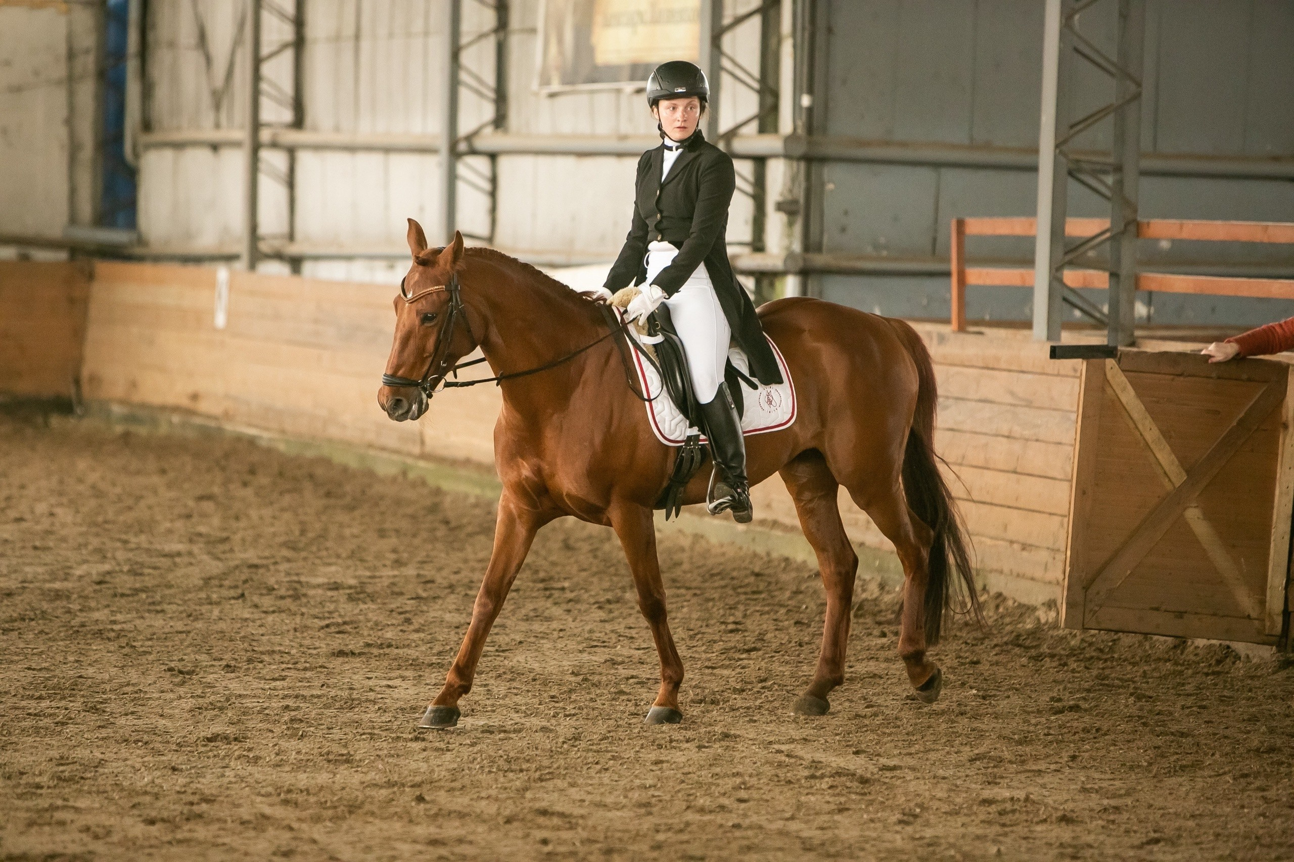 Соревнования. Конный фотограф Юлия Дроздова