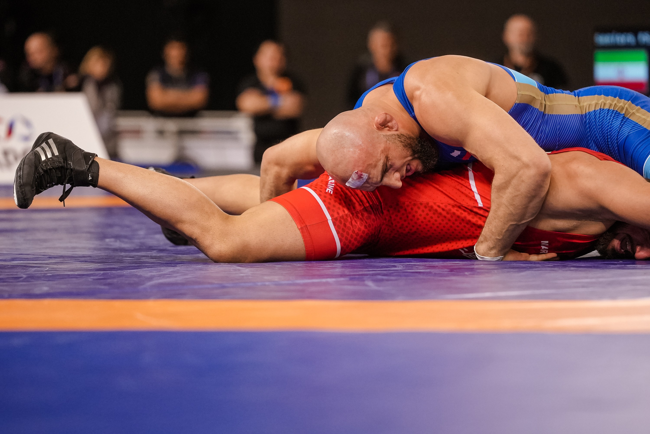 Кубок Ивана Ярыгина 2024 фото / Ivan Yarygin Cup 2024 photos. Фотограф Анна Герман. Красноярск