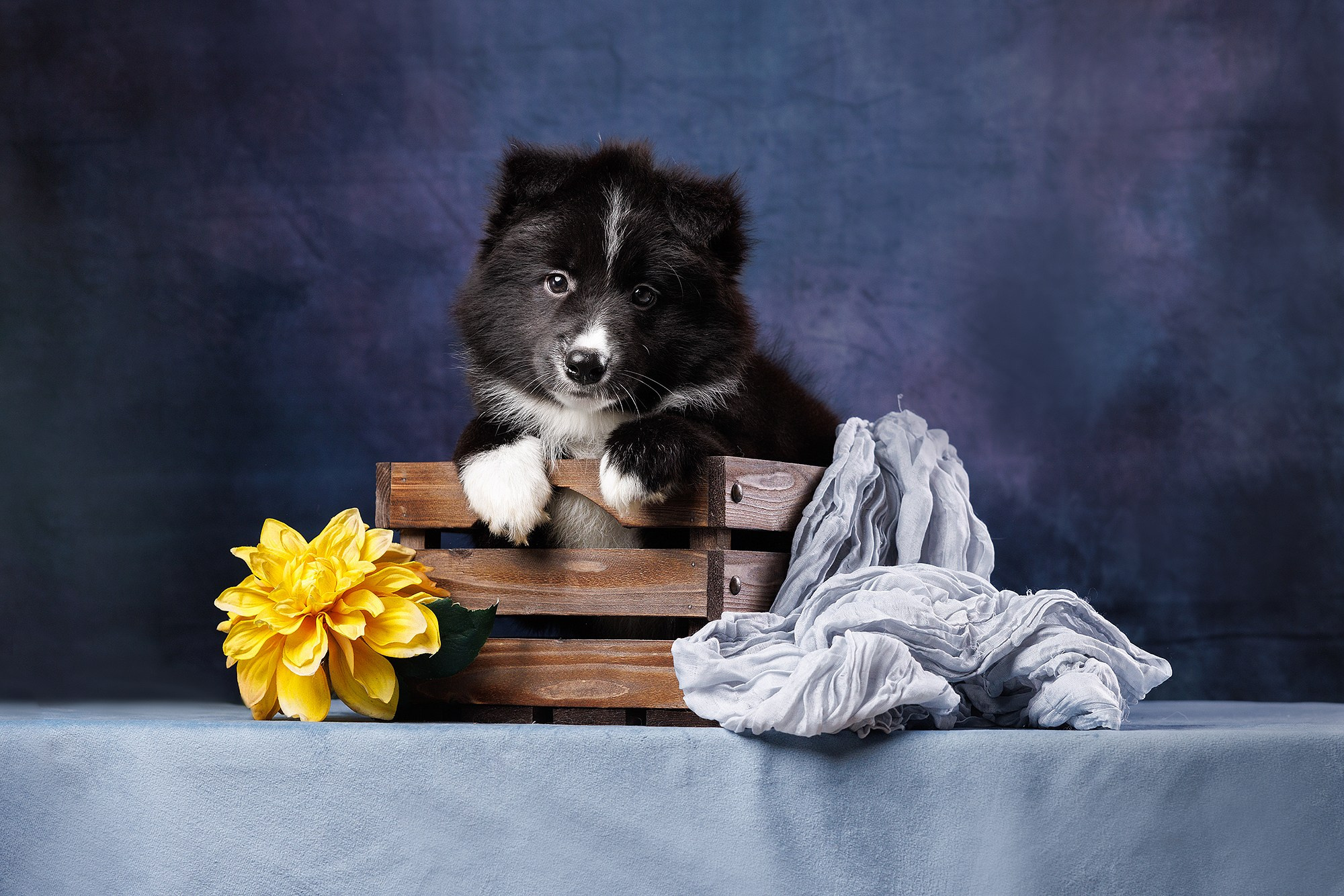 На водной основе. О нас