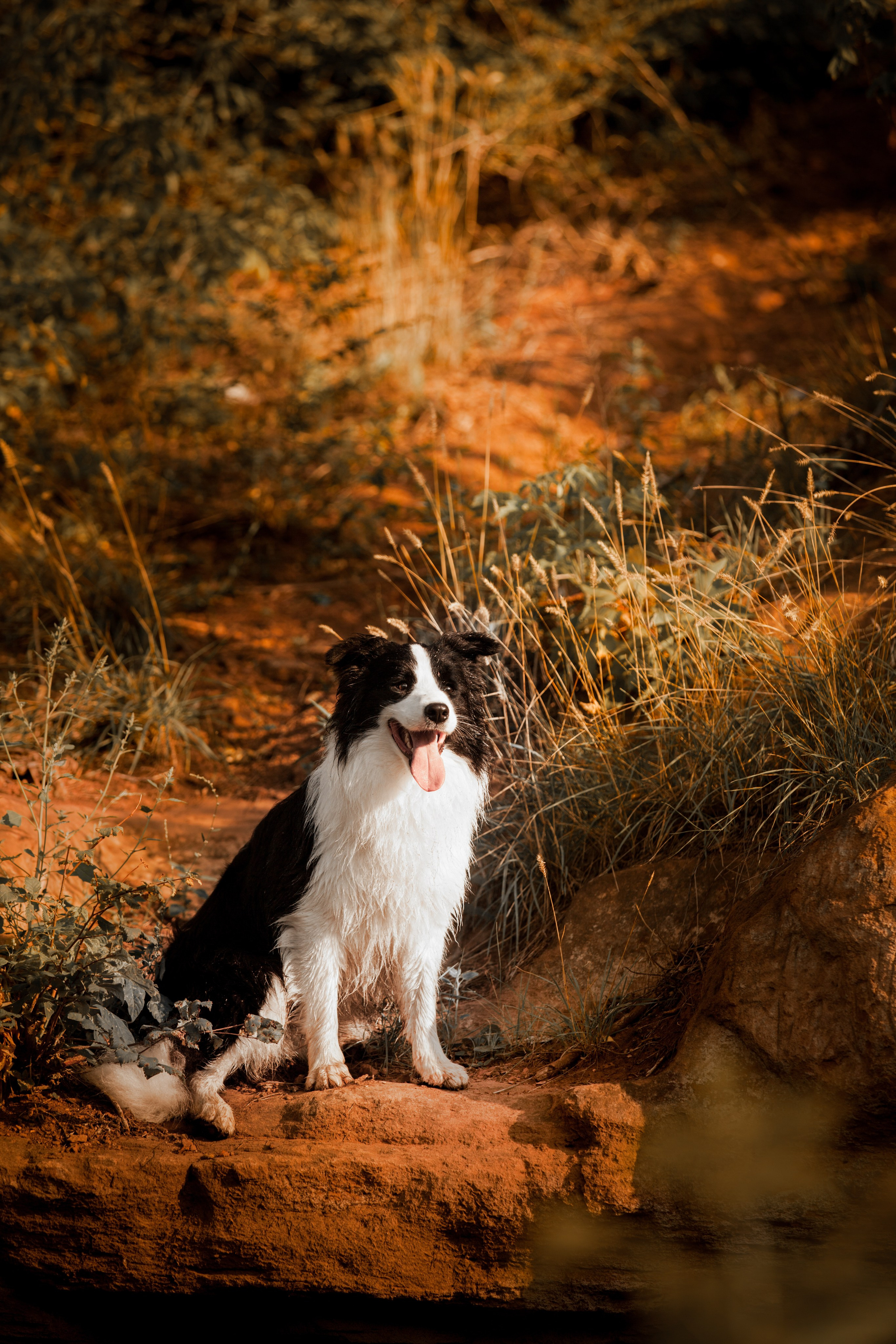 Сочный рассвет, на который решились. О нас