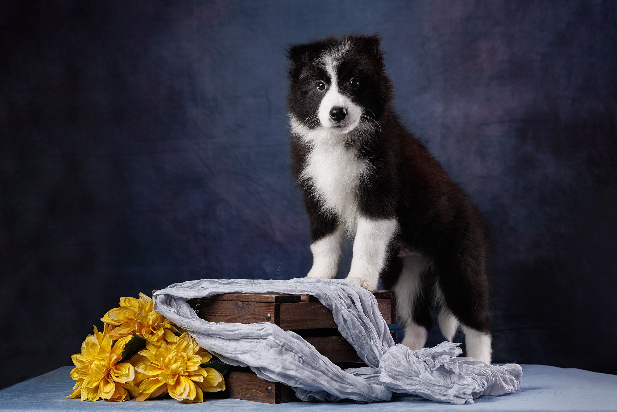 На водной основе. О нас