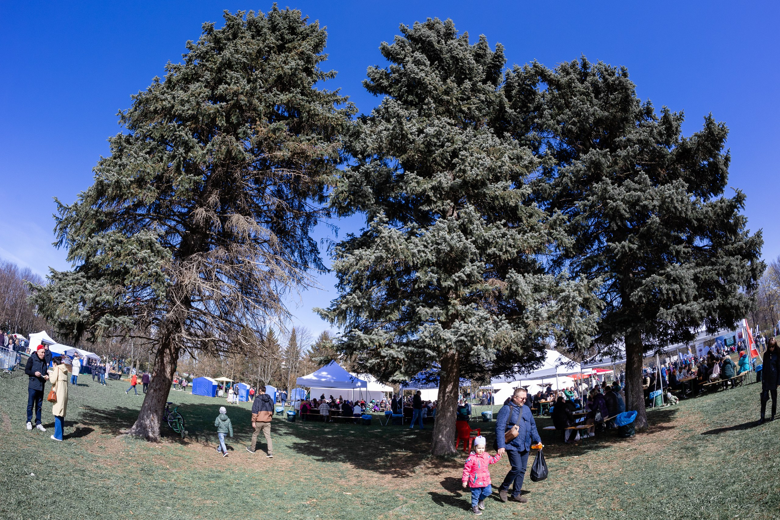 Фестиваль корюшки в Санкт-Петербурге. Фотограф в Санкт-Петербурге — Сергей Петров