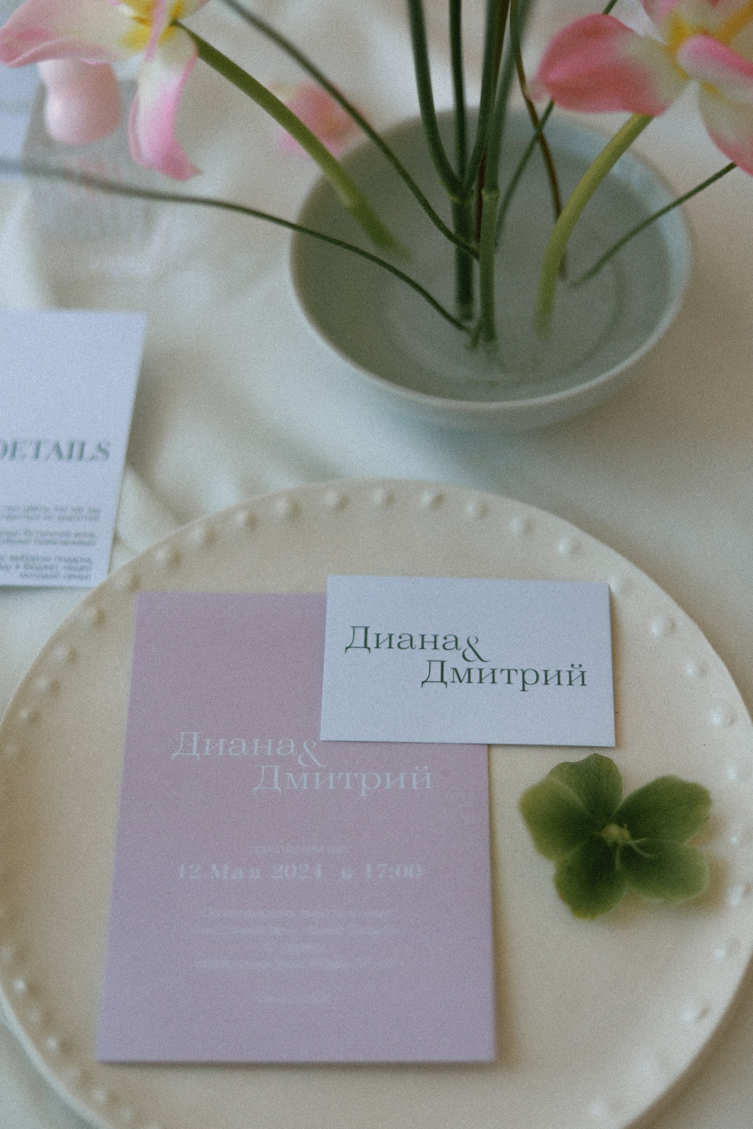 Молли. Фотограф НатаФото (Наталья Яковенко) Дмитров Москва Питер