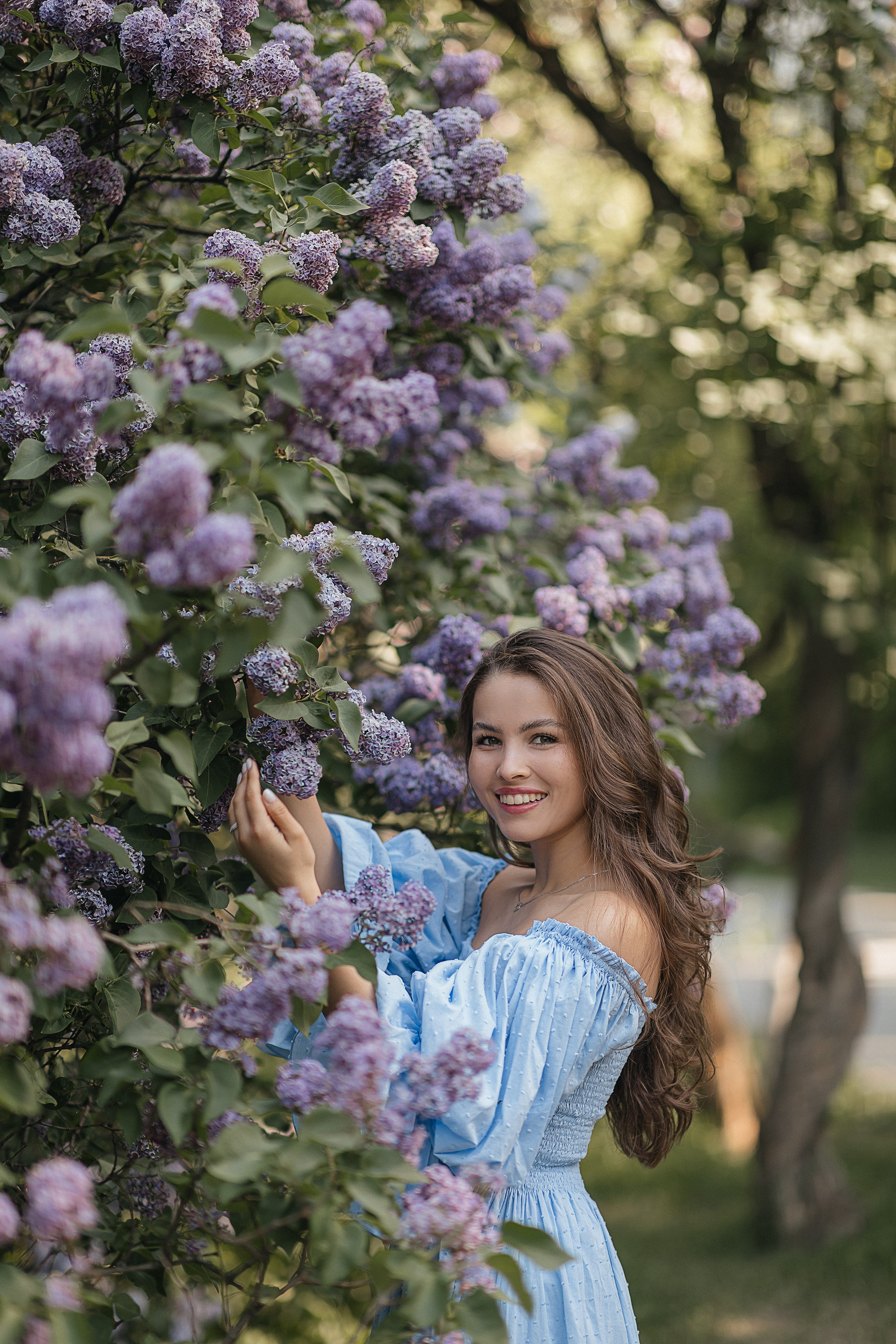 Сирень Азиза. Фотограф Москва