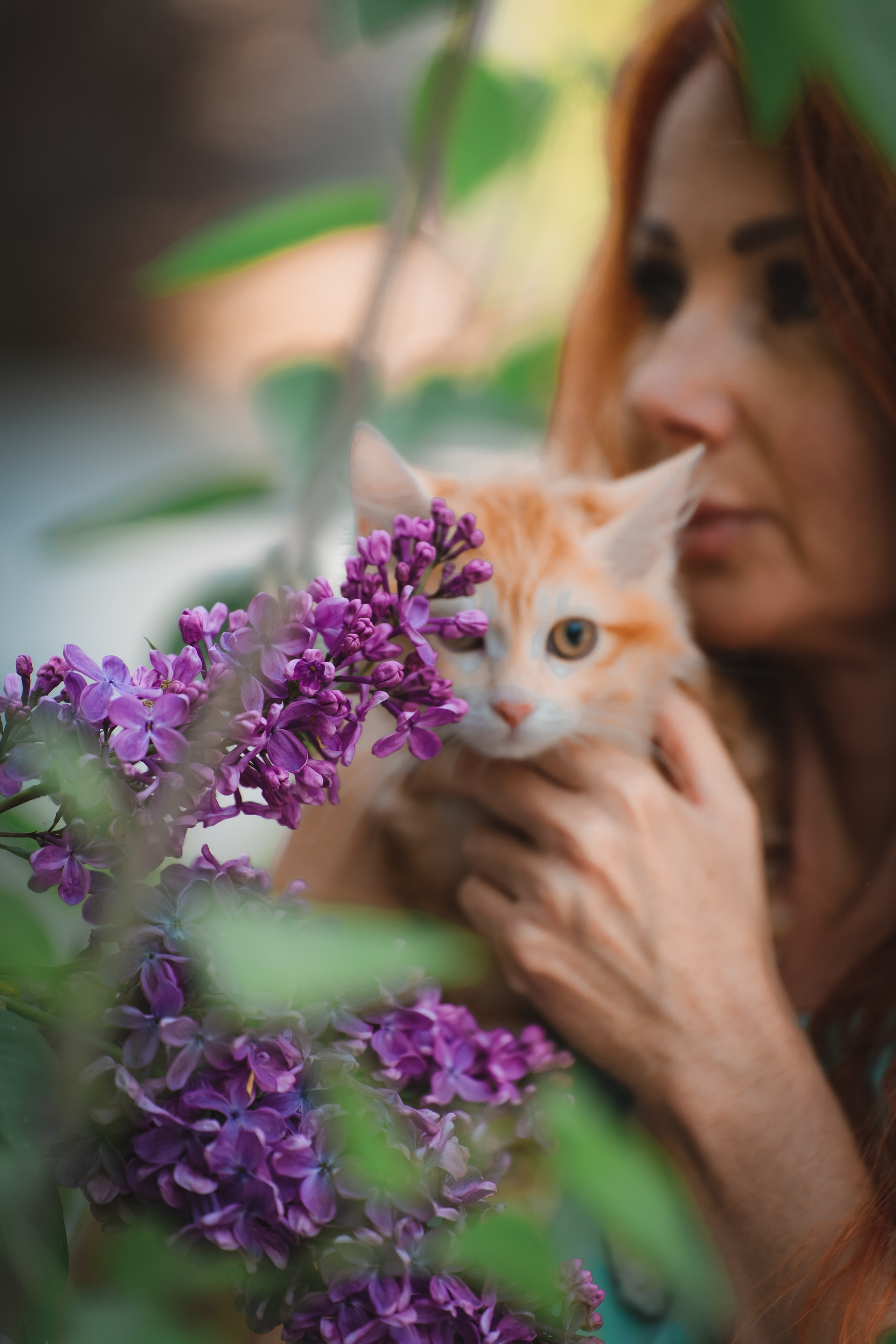 Питомник Курильских бобтейлов. Фотограф в Москве Ленарская Дарья