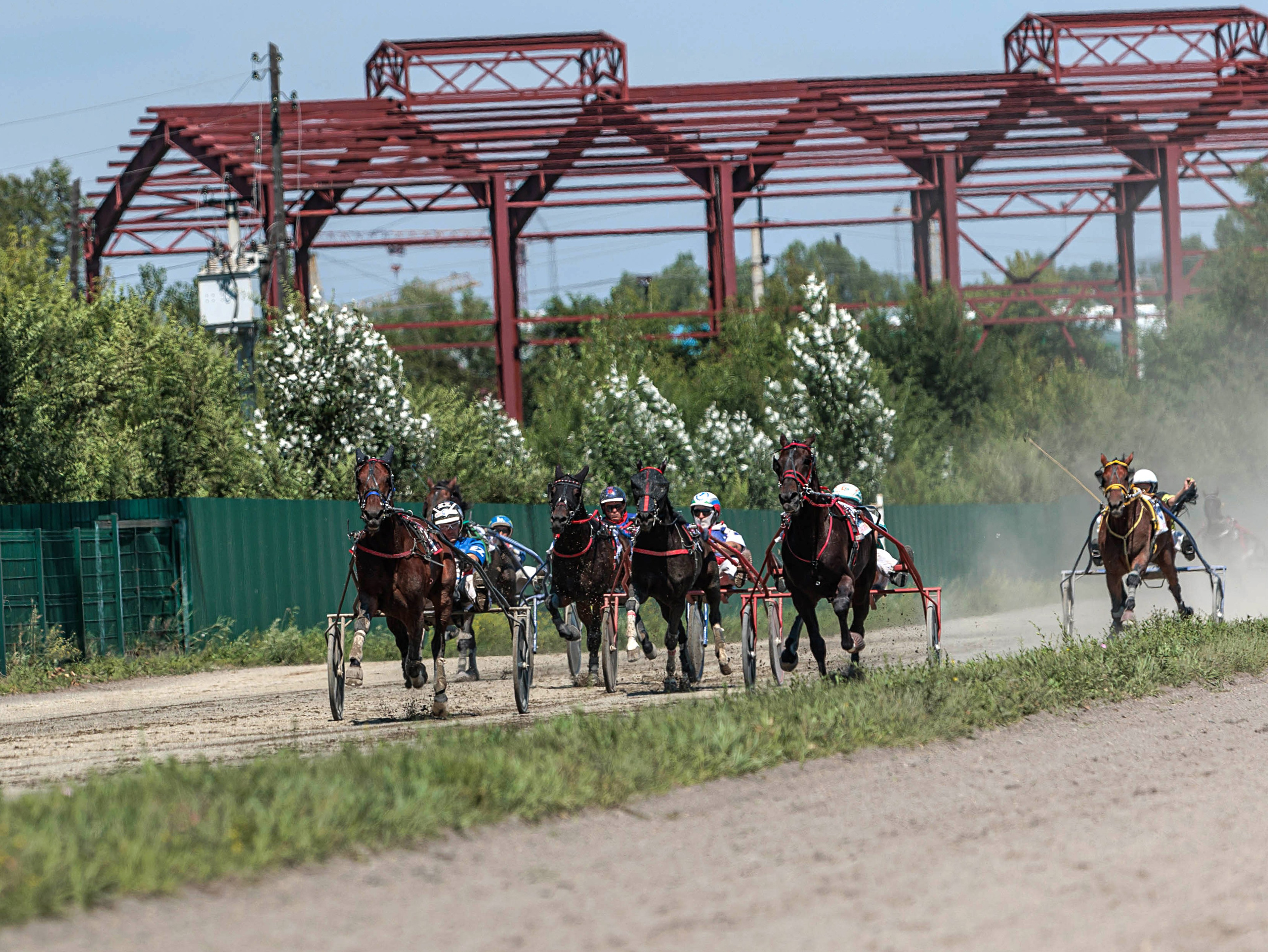 Зарисовки Абаканский ипподром 2025. Конный фотограф в Красноярске — Любовь Похабова