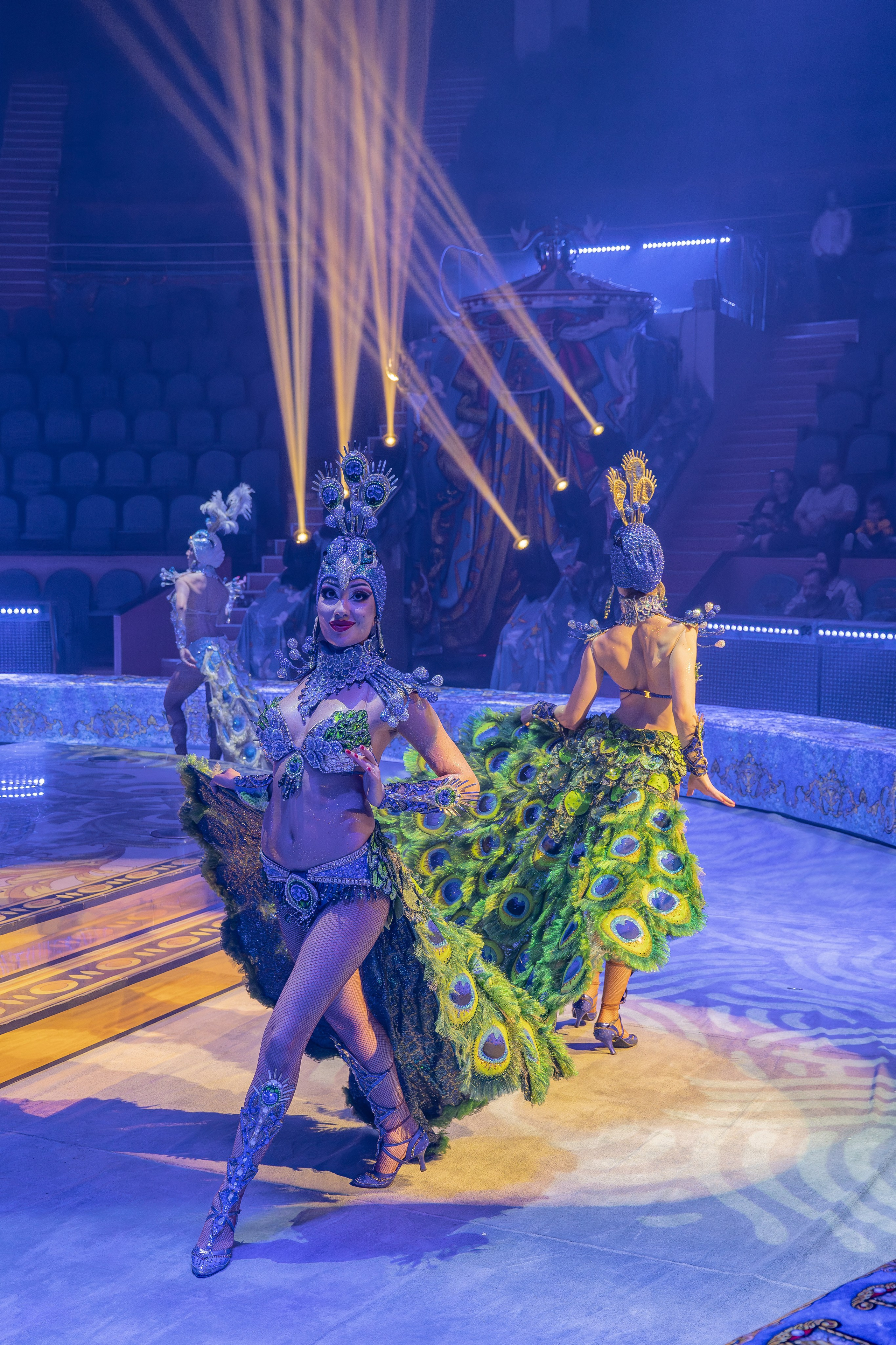 Цирк Гии Эрадзе. Наталья Слесаренко фотограф в Сочи