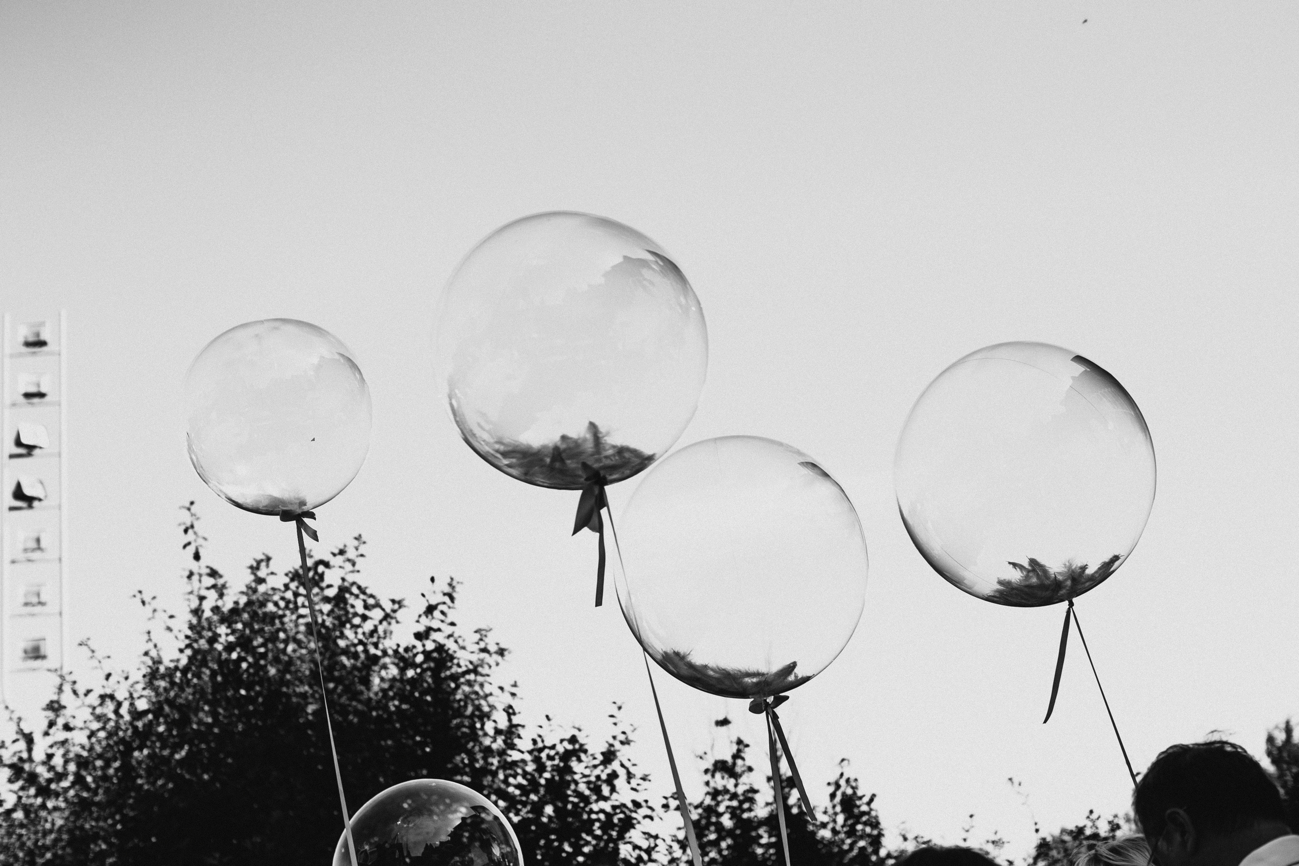 Фотограф на свадьбу. Свадебный фотограф в Москве и Балашихе