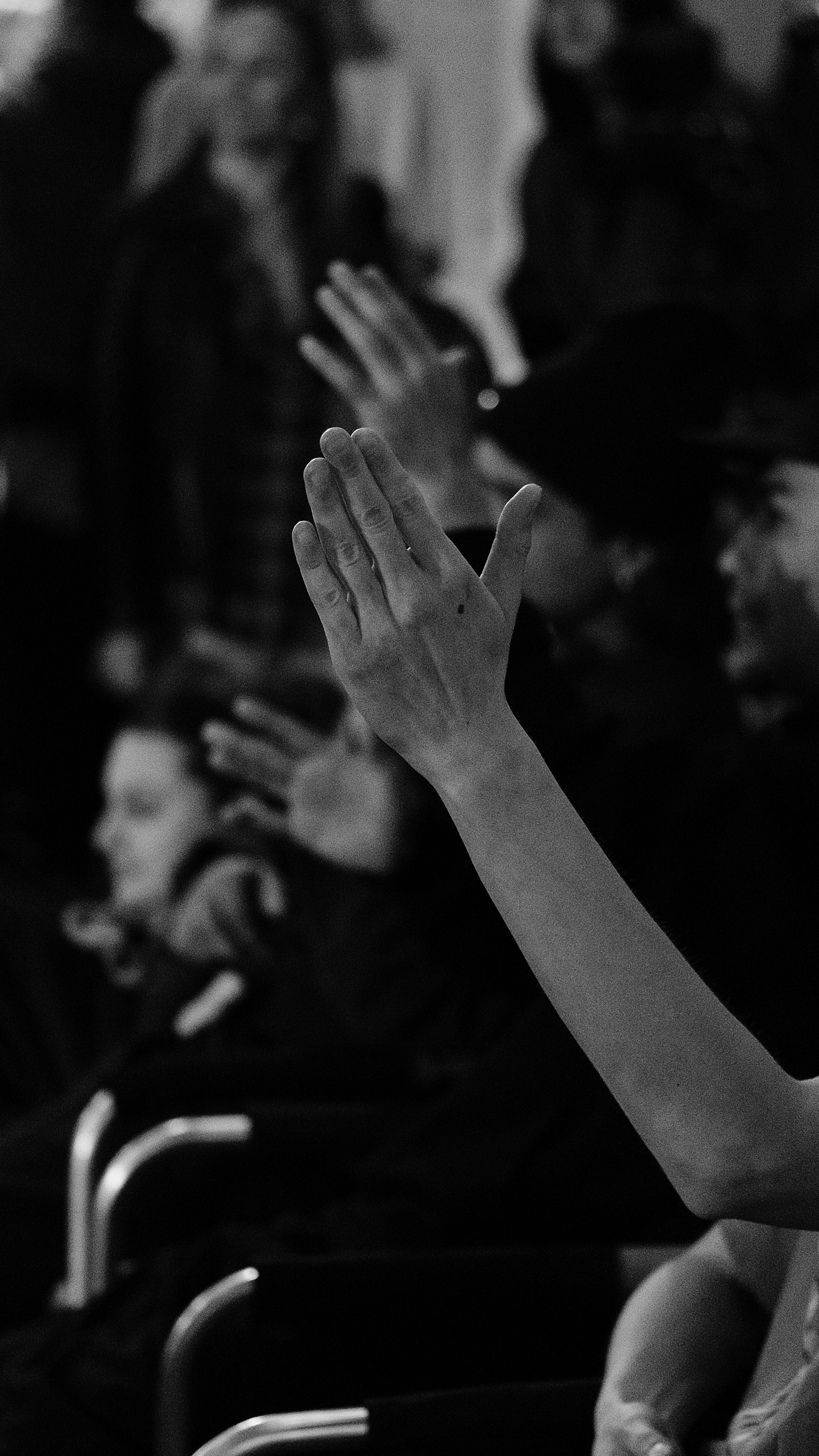 ODD PROJECT. LIYALEE PHOTO