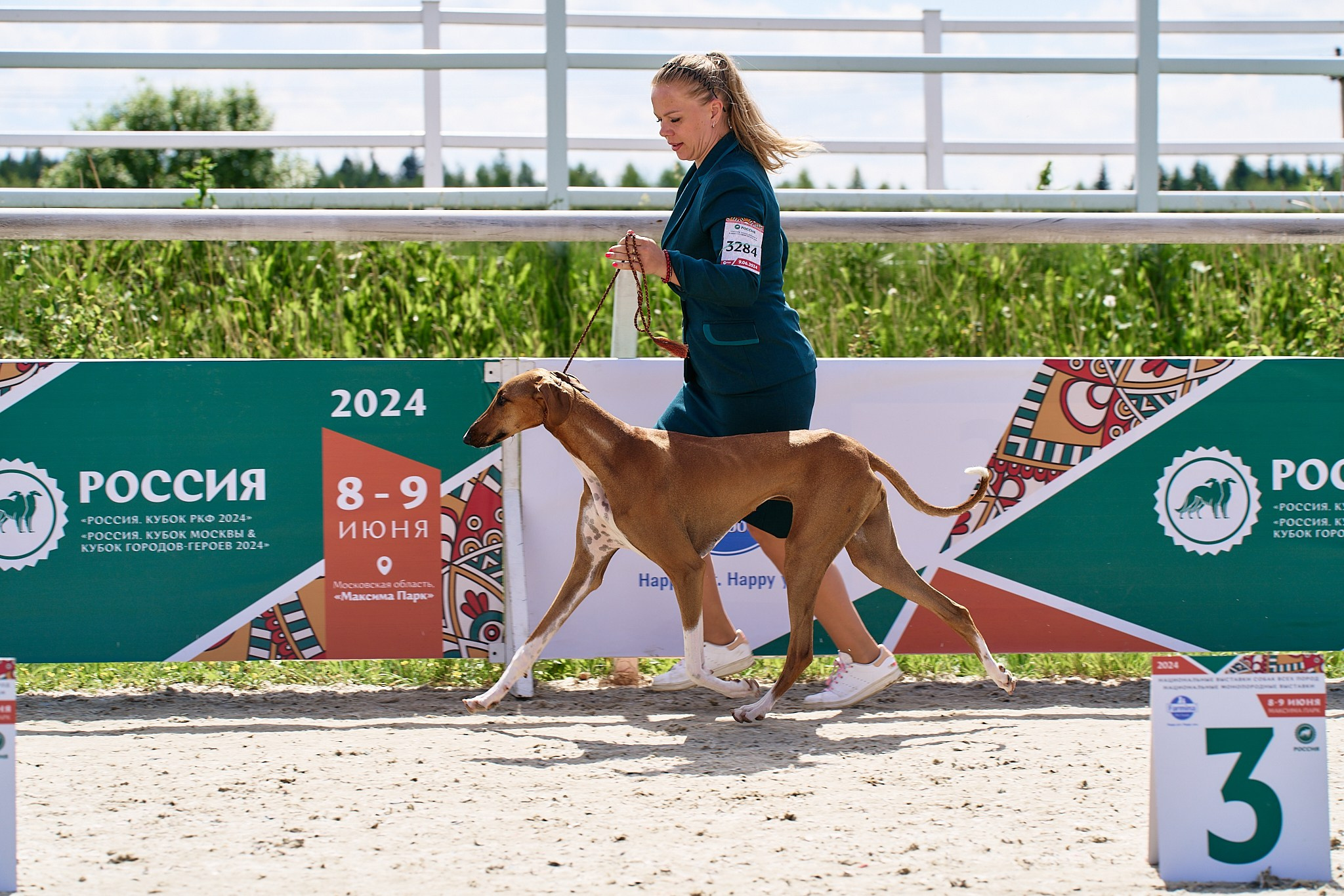 09.06.2024, «РОССИЯ. КУБОК МОСКВЫ 2024 & КУБОК ГОРОДОВ-ГЕРОЕВ»