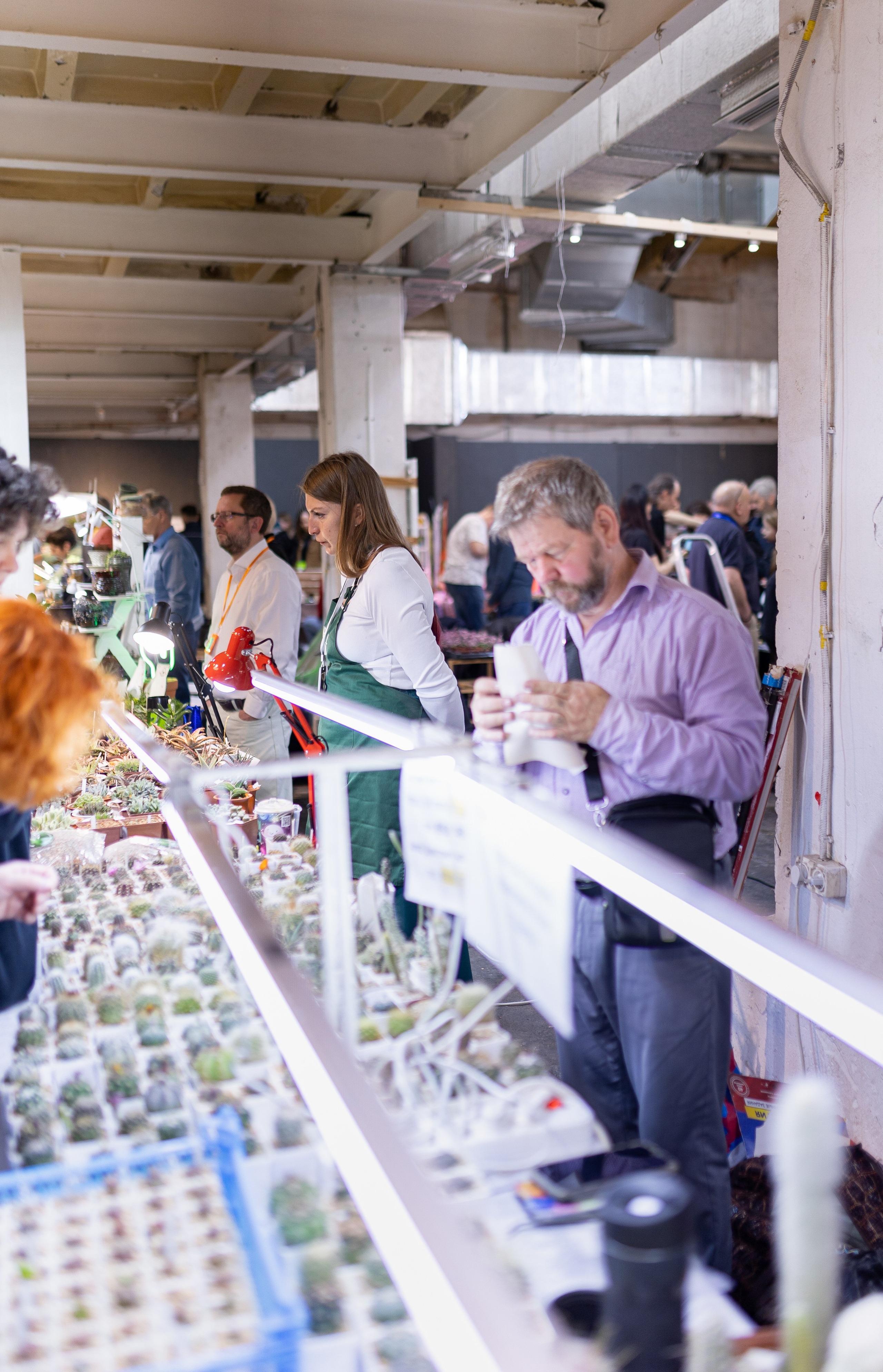 Meza market 2024. Александра Куликова фотограф, Москва