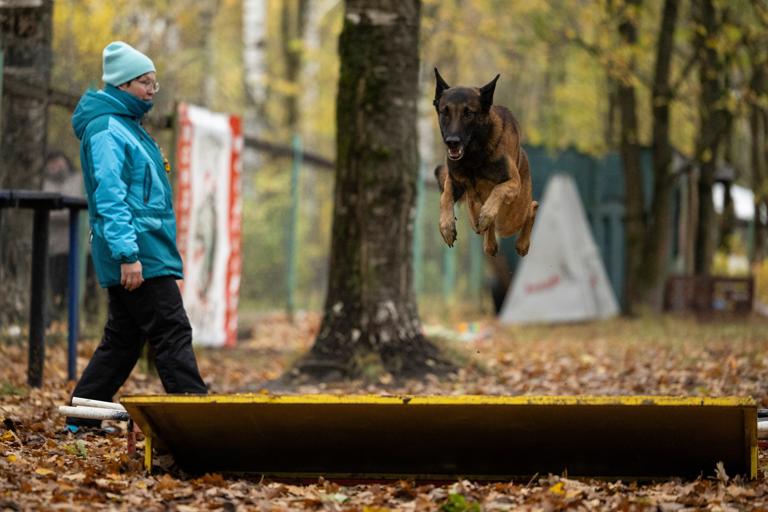Соревнования по Мондьорингу г. Вологда. Фотограф-анималист Анна Маринич
