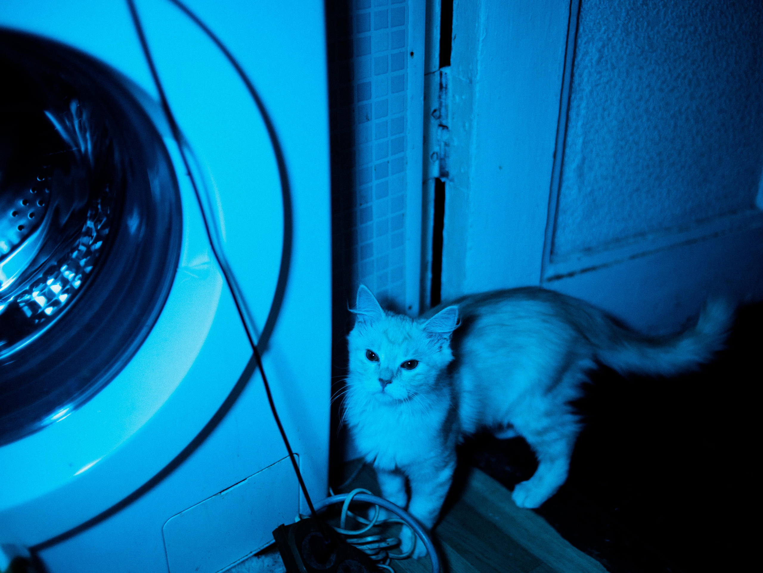 Ксюша. Фотограф Мария Немм