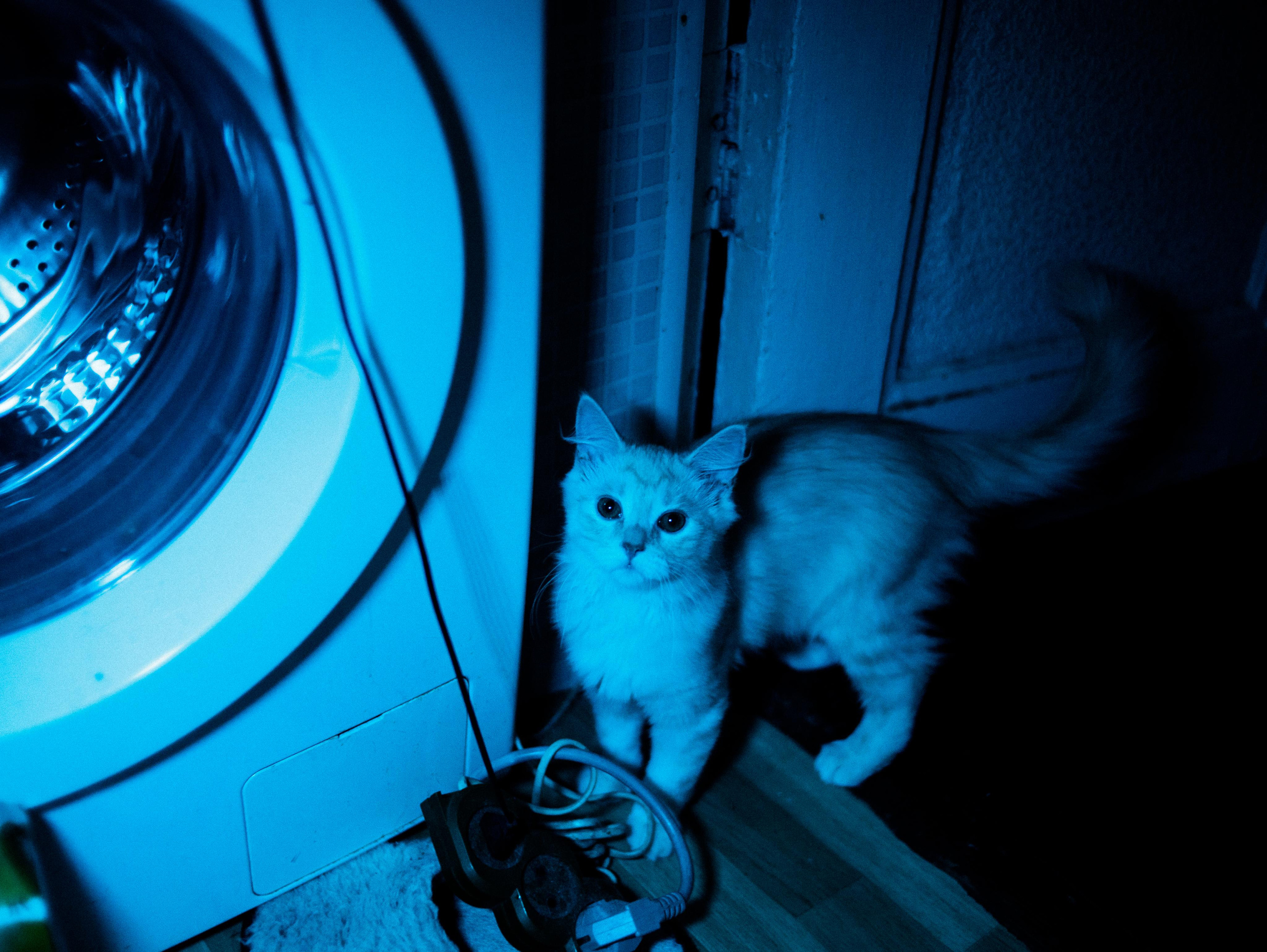 Ксюша. Фотограф Мария Немм