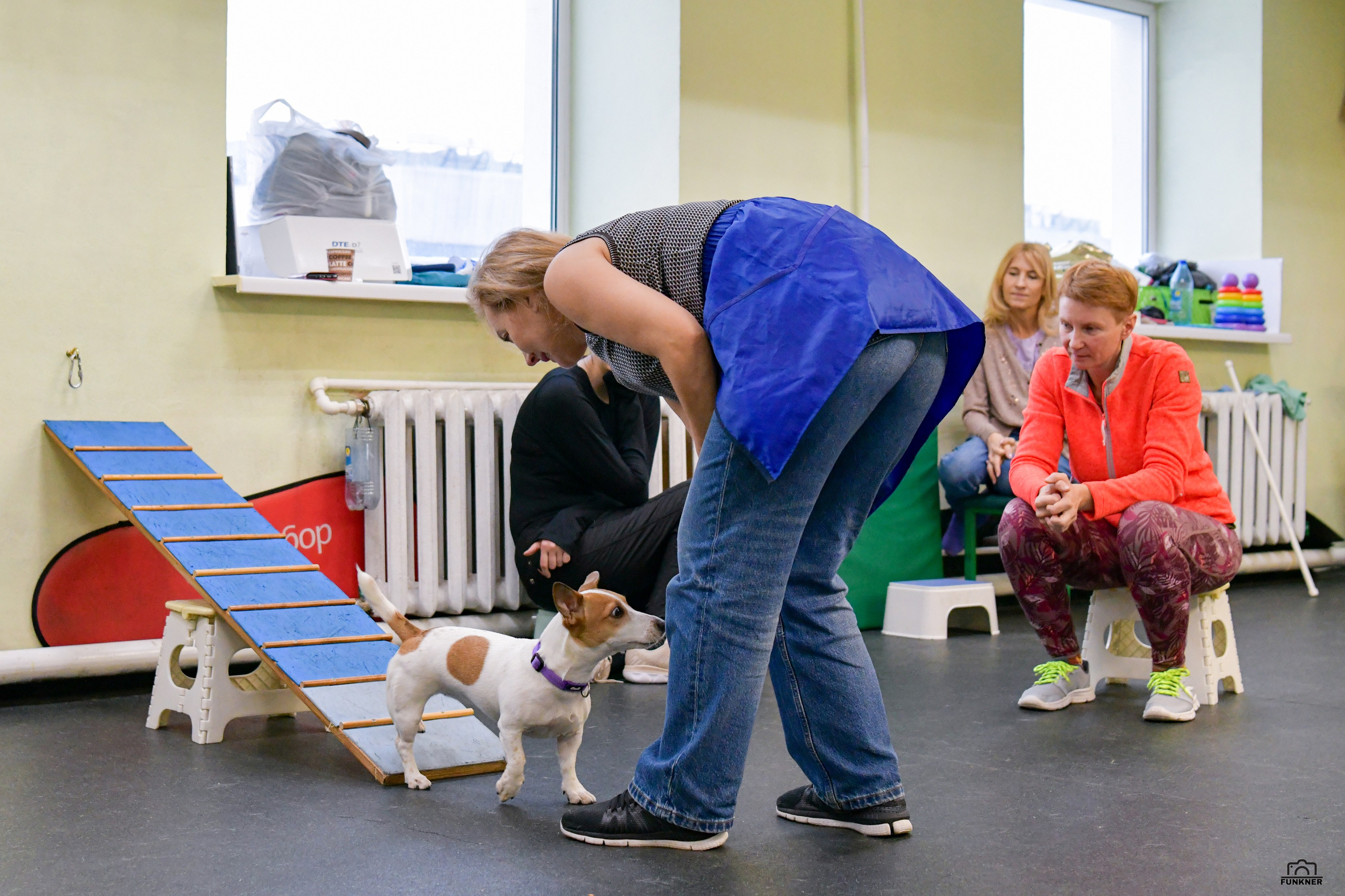 Кинологический клуб «Бодрый хвост». Свой взгляд через объектив