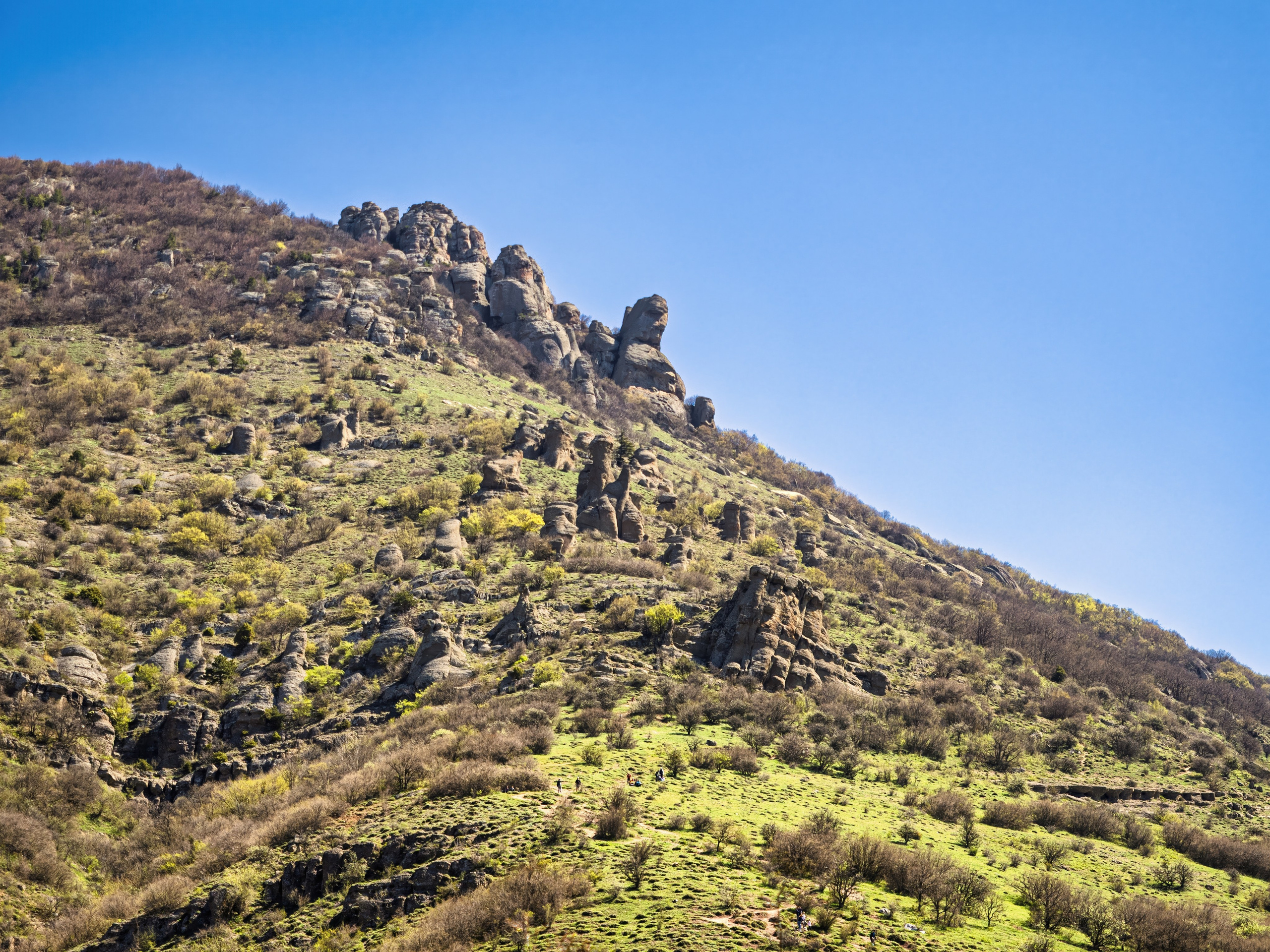 Крым, Утес, 2021 год. Фотограф Никифоров-Гордеев Сергей. Москва и МО