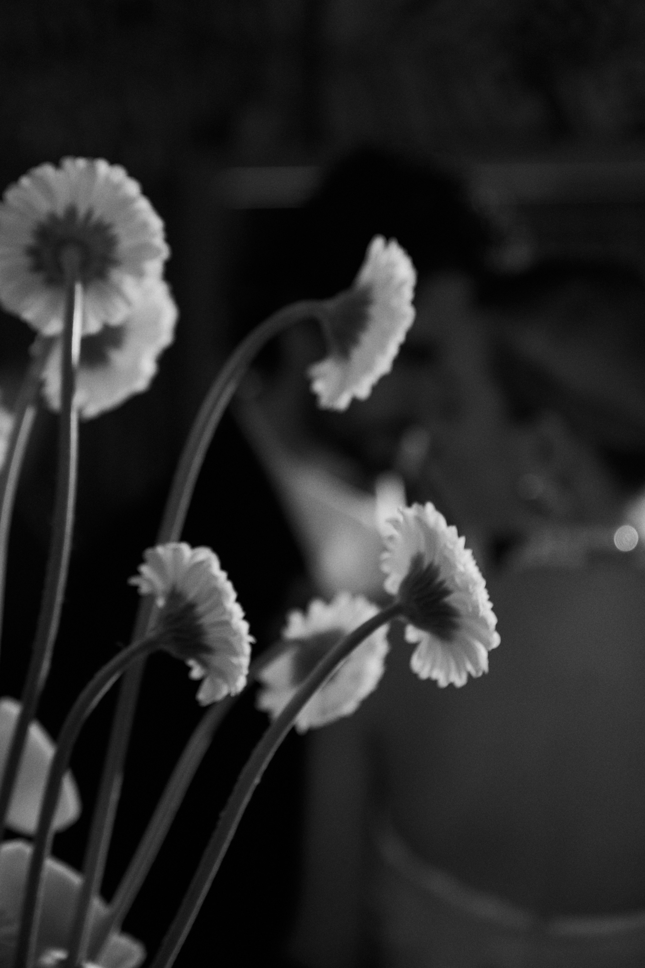 Аня &  Сергей «Unica». Оформление свадеб, декор свадеб Вера Маркова, Москва