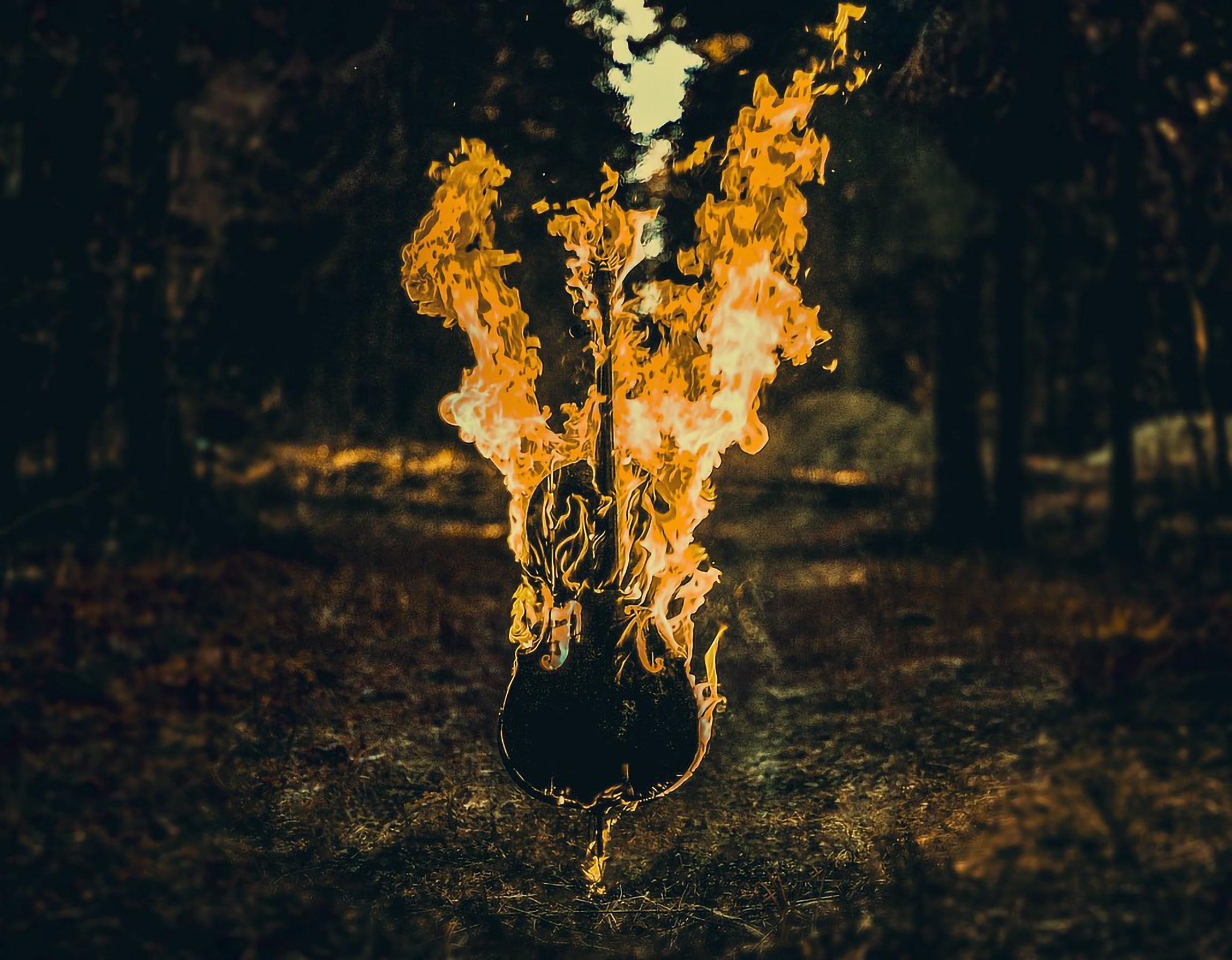 Арт-фото. Михаил Данилов | Фотограф