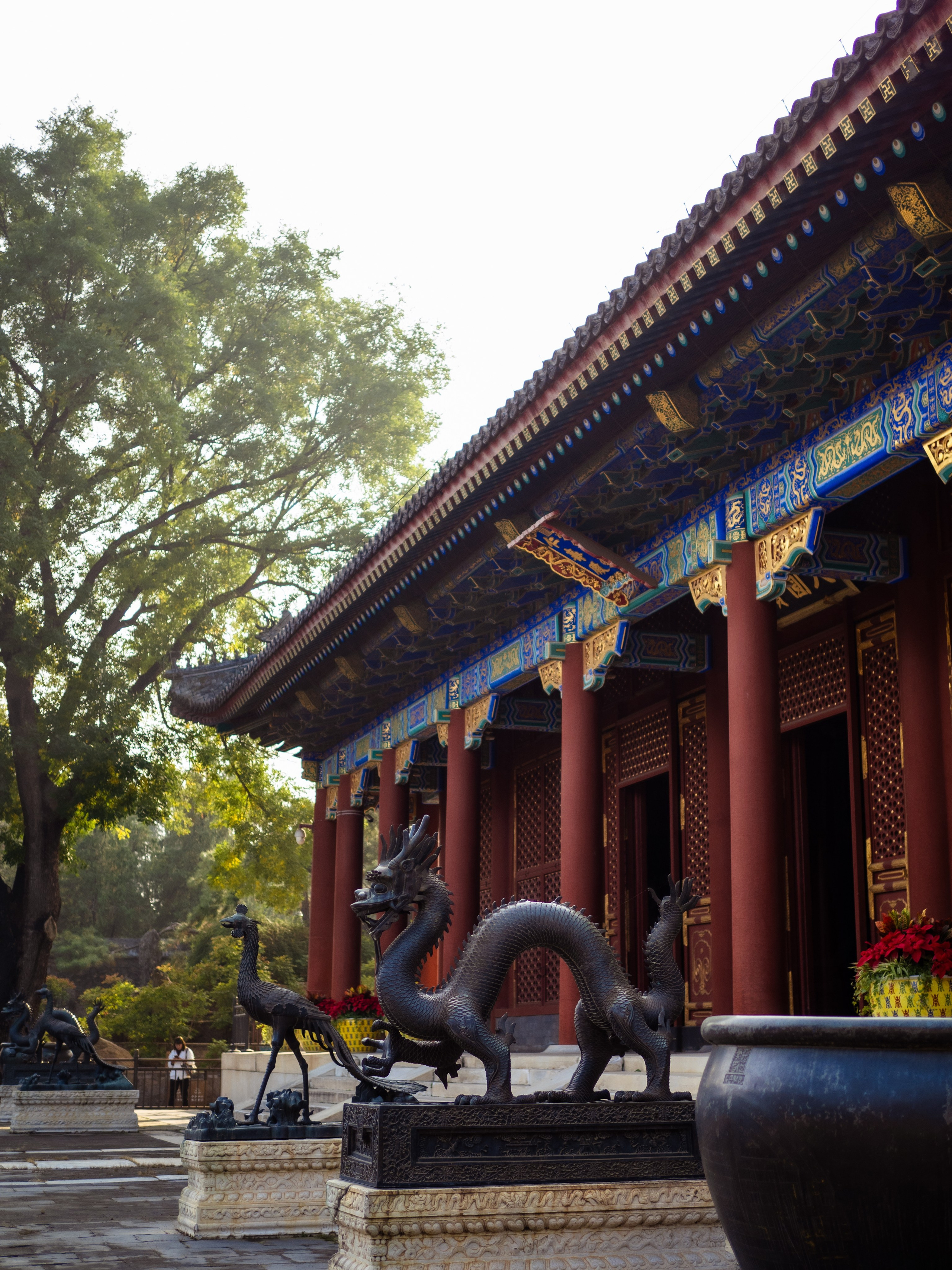 INTERNATIONAL PROFESSIONAL SKILLS INSTRUCTOR. CHINA 2024. Кулишова Катерина — твой фотограф