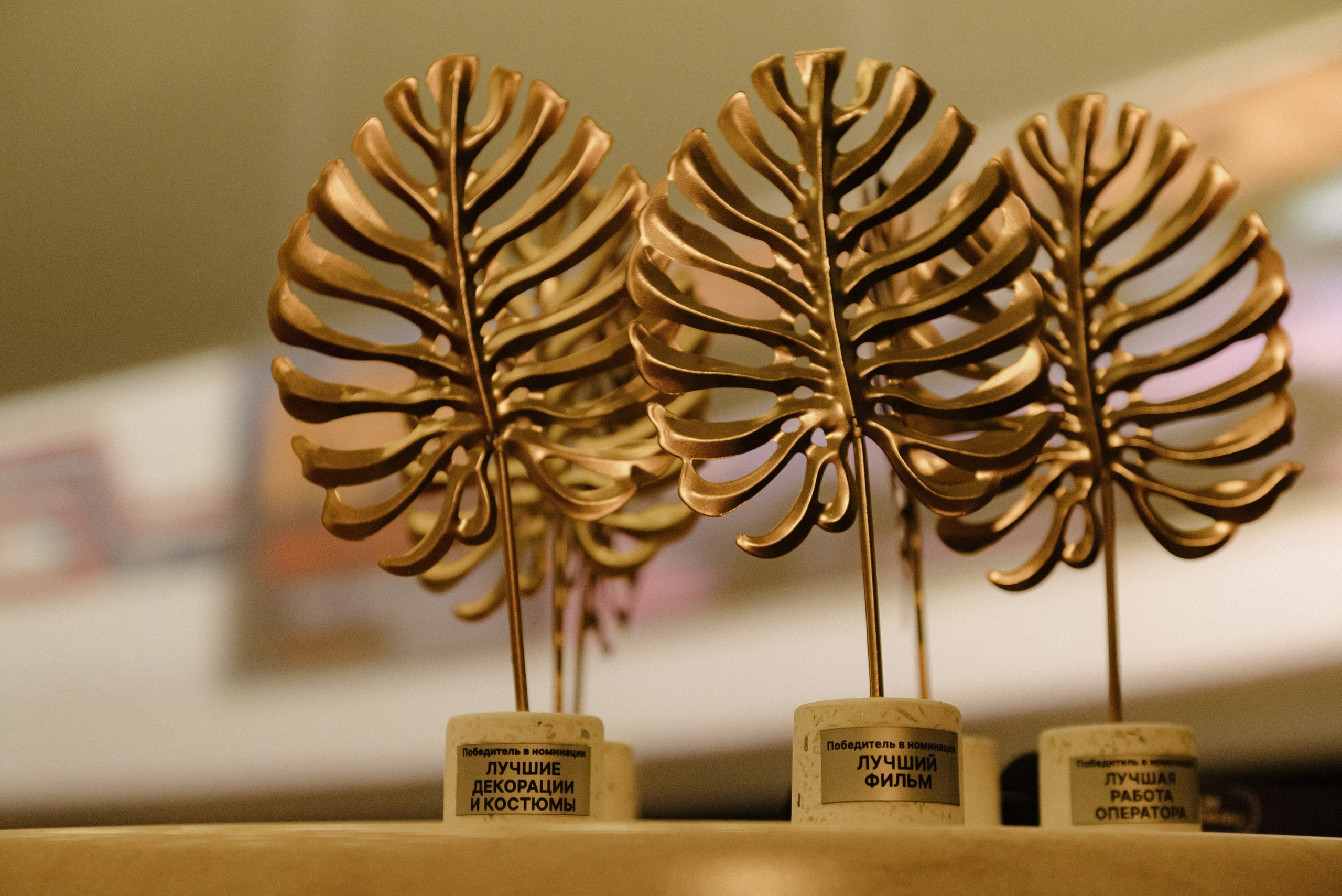 Панковская ветвь. Репортажный фотограф в Санкт-Петербурге Евгений Перевалов