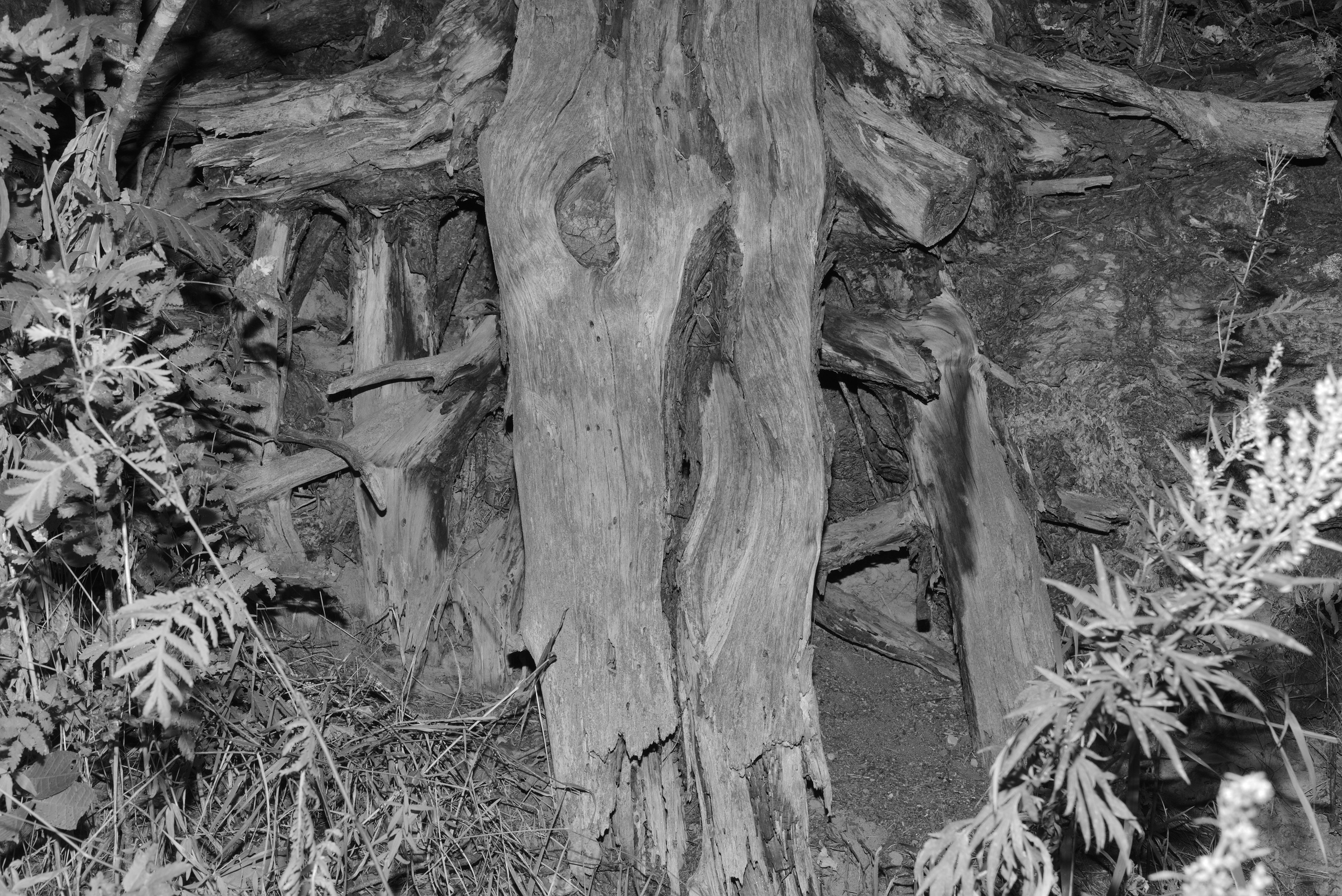 Pohjola. Artem Glukhan