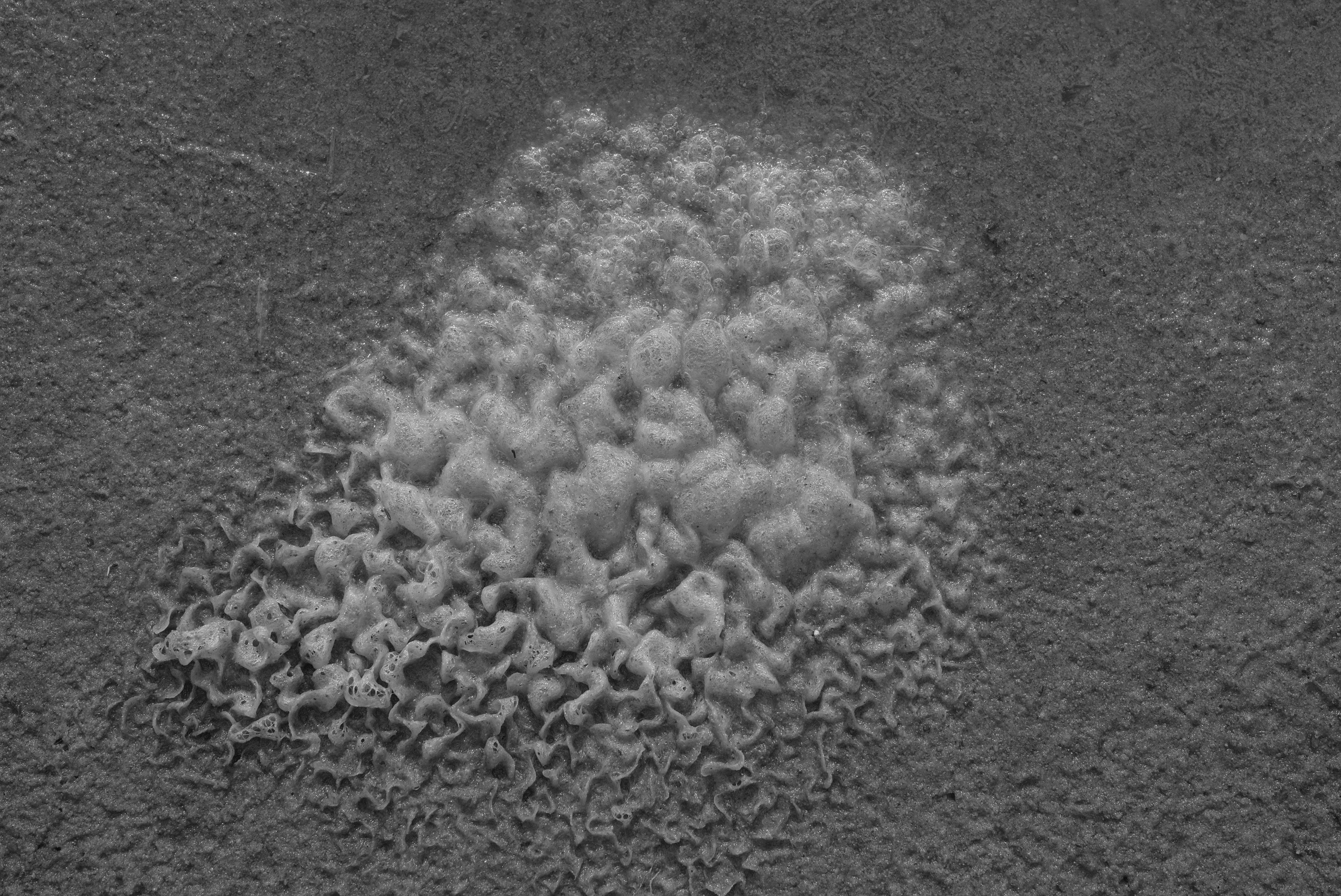 Pohjola. Artem Glukhan