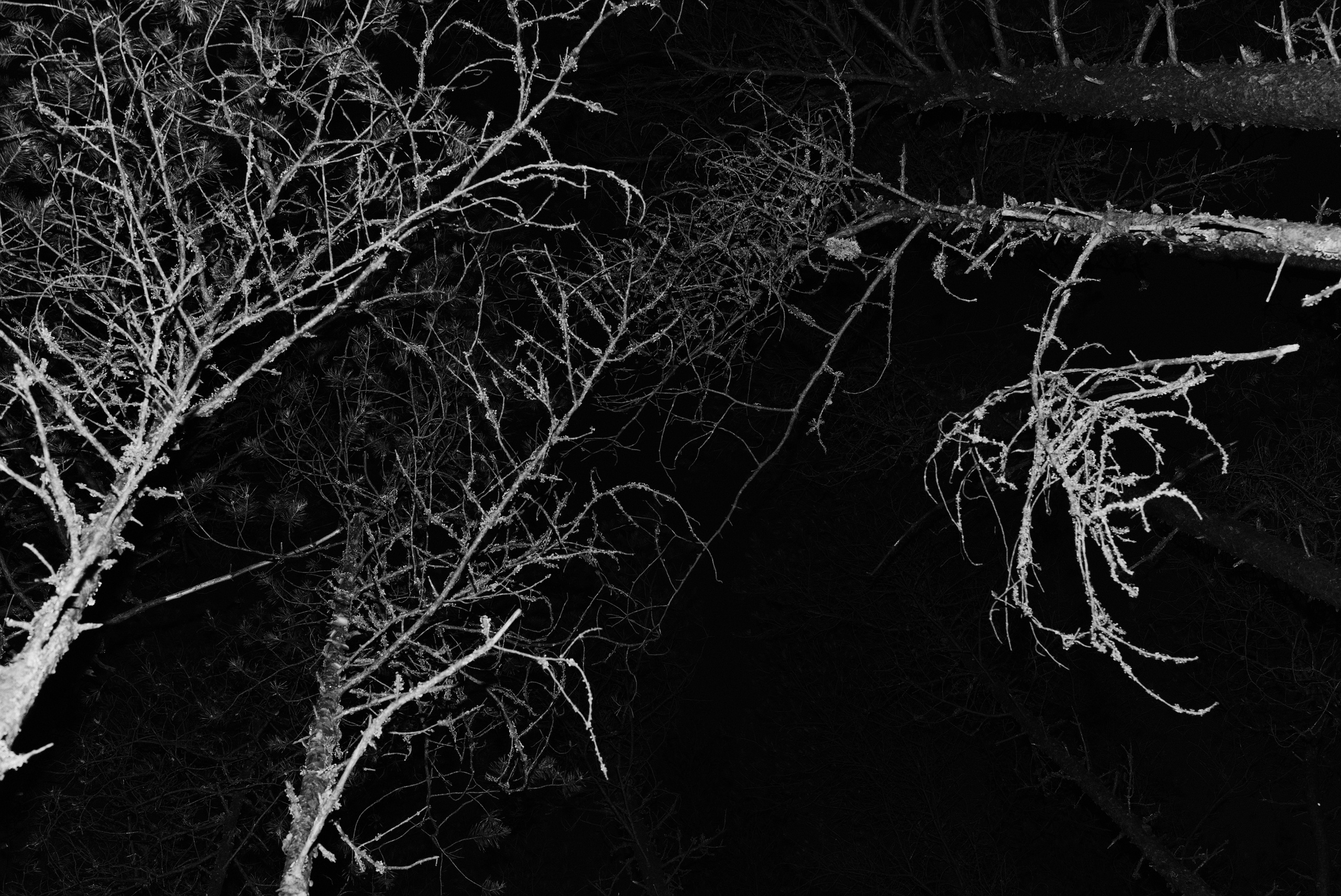 Pohjola. Artem Glukhan