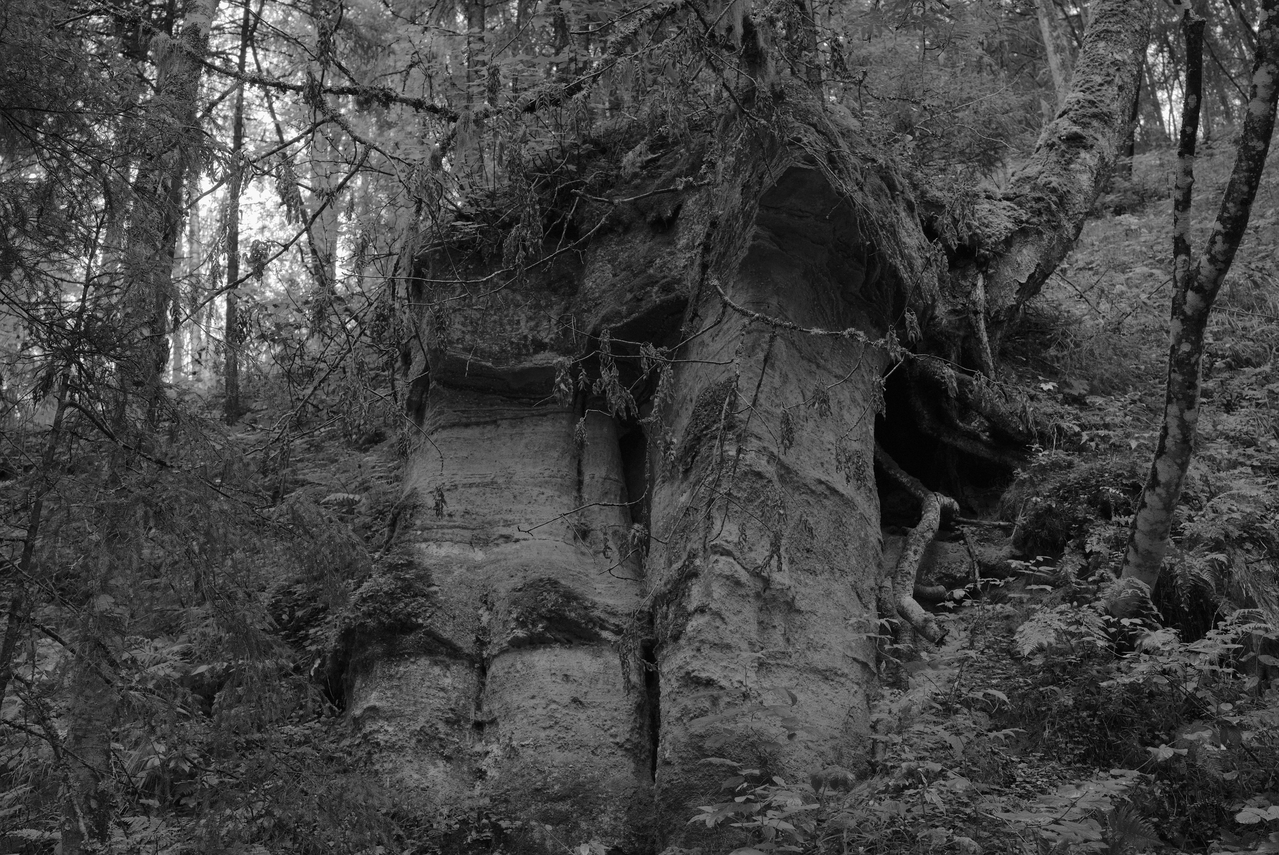 Pohjola. Artem Glukhan