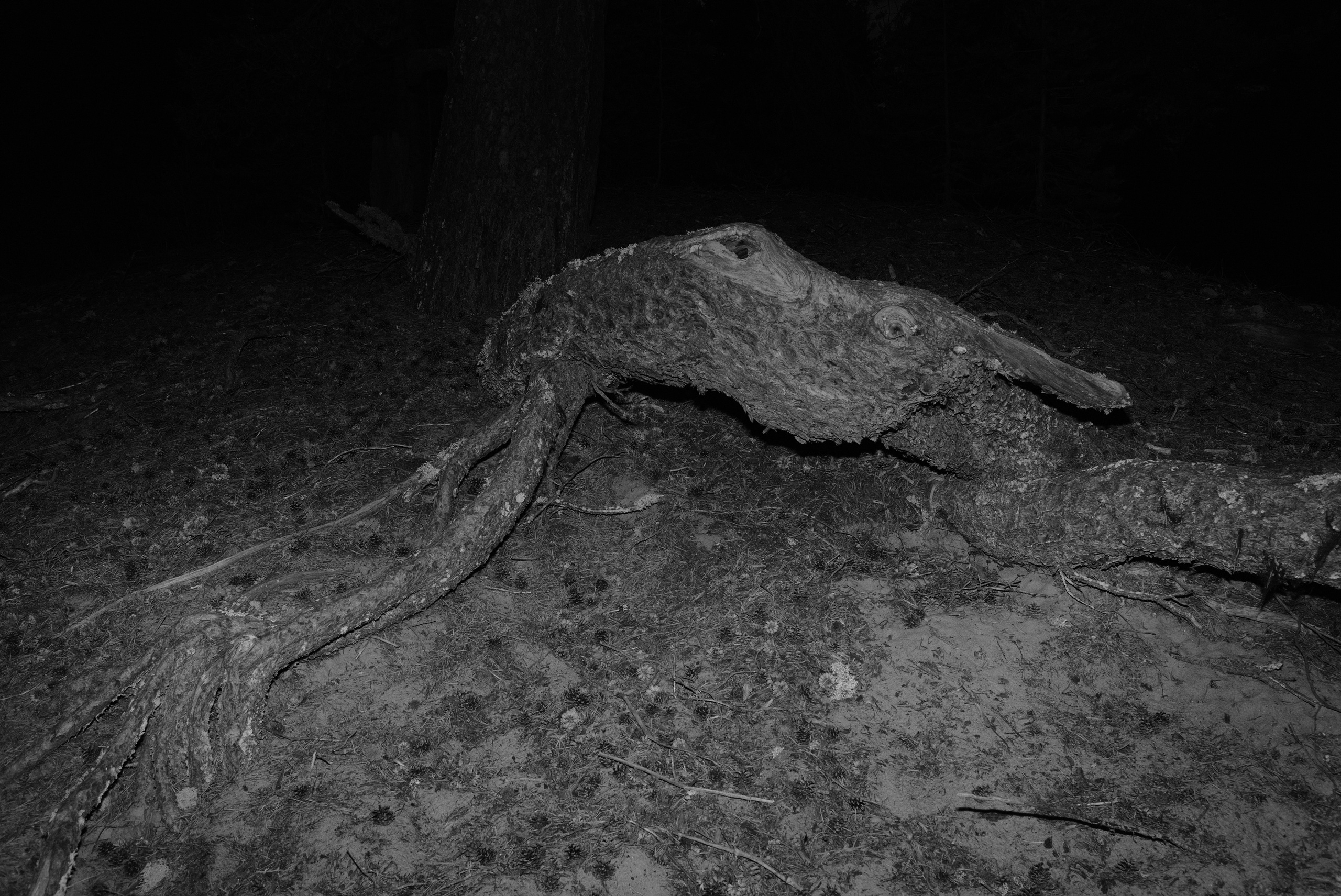 Pohjola. Artem Glukhan