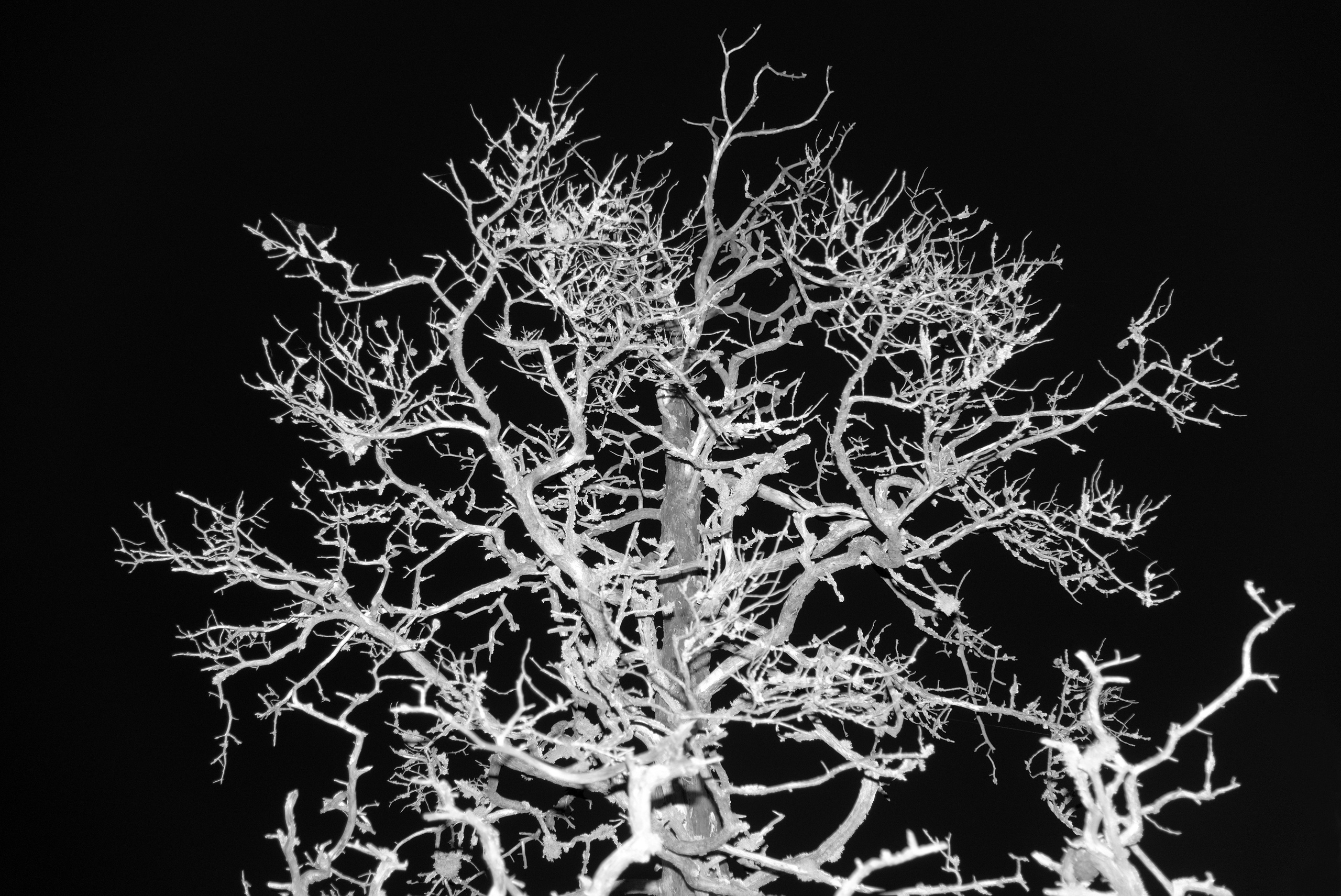 Pohjola. Artem Glukhan