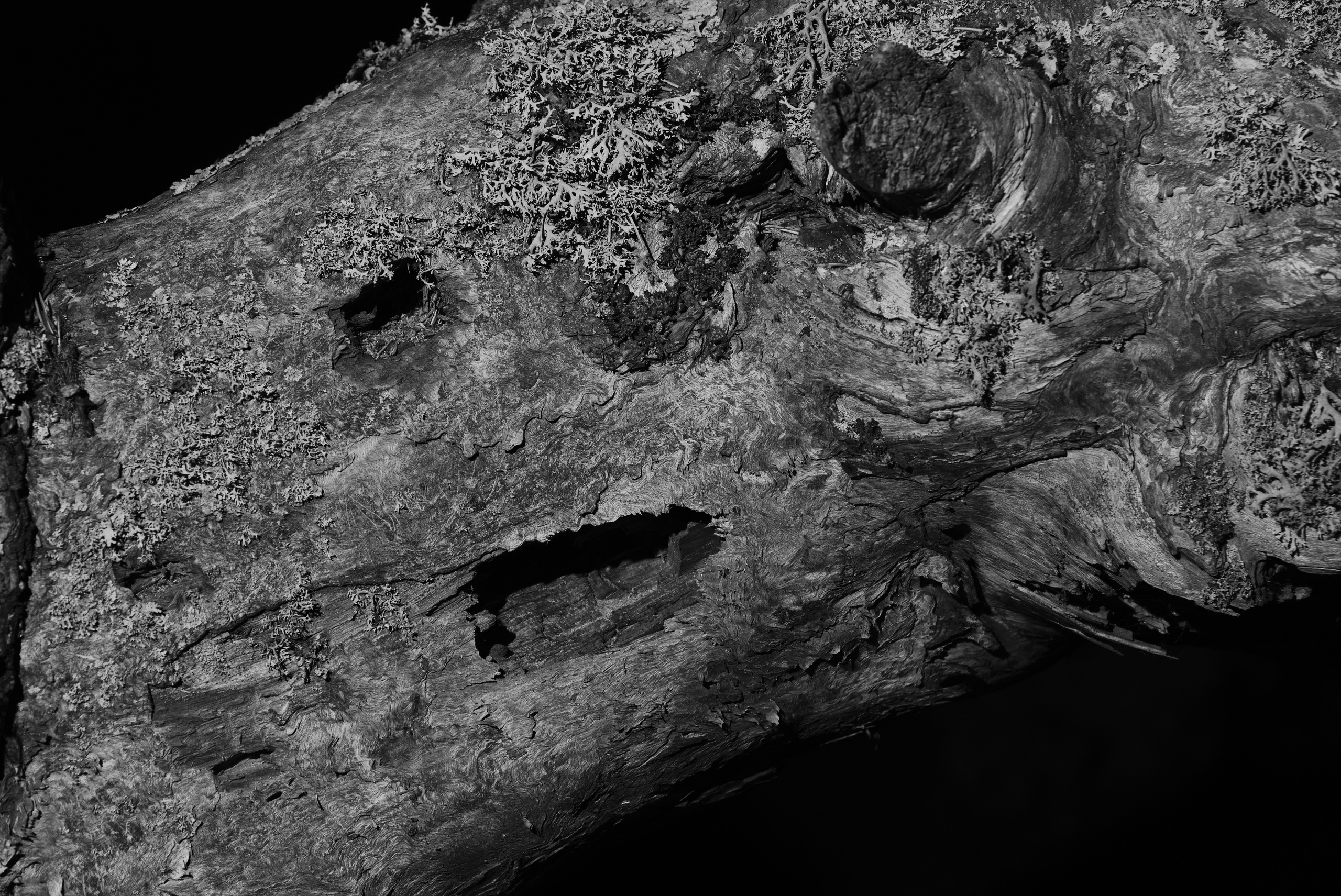 Pohjola. Artem Glukhan