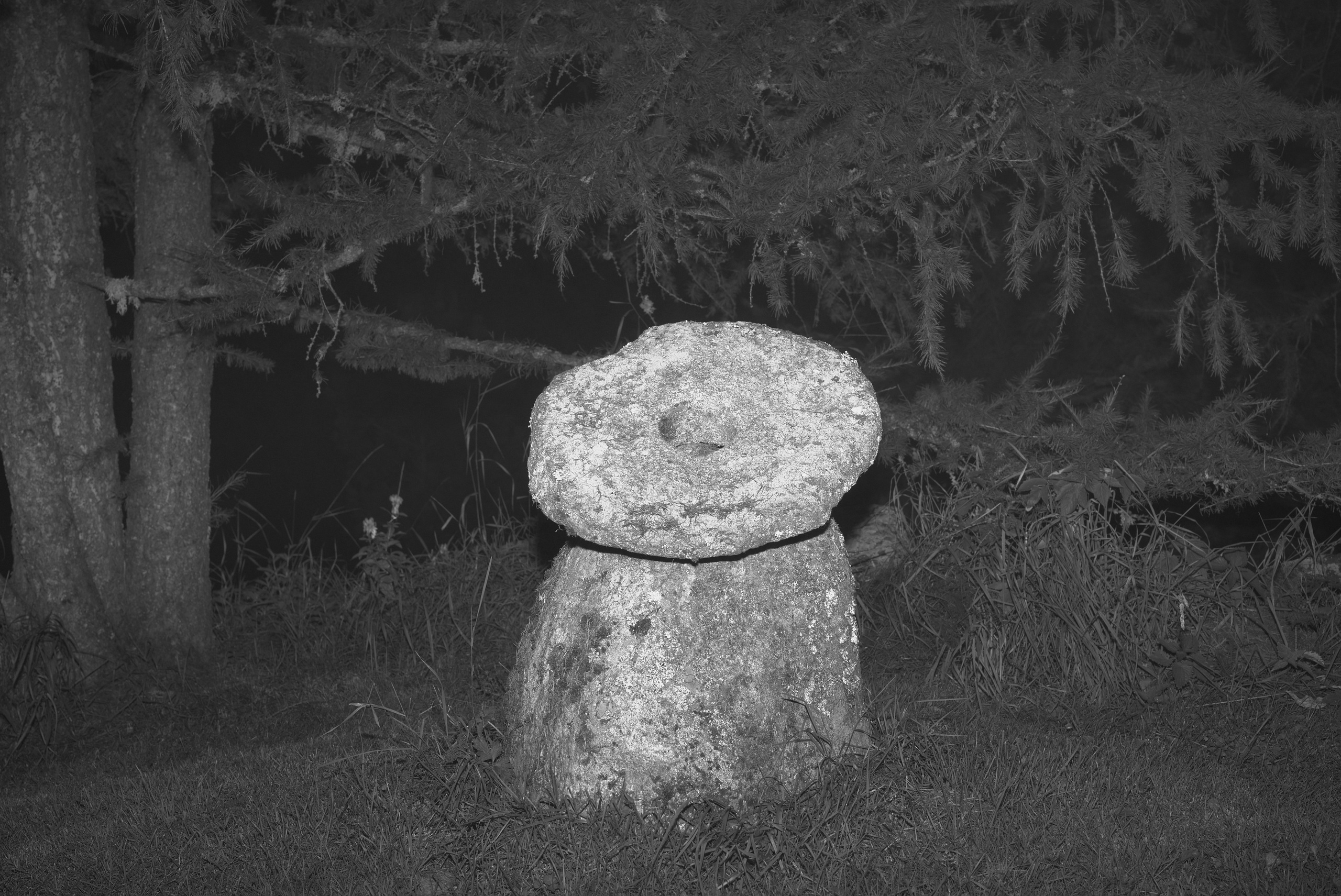 Pohjola. Artem Glukhan