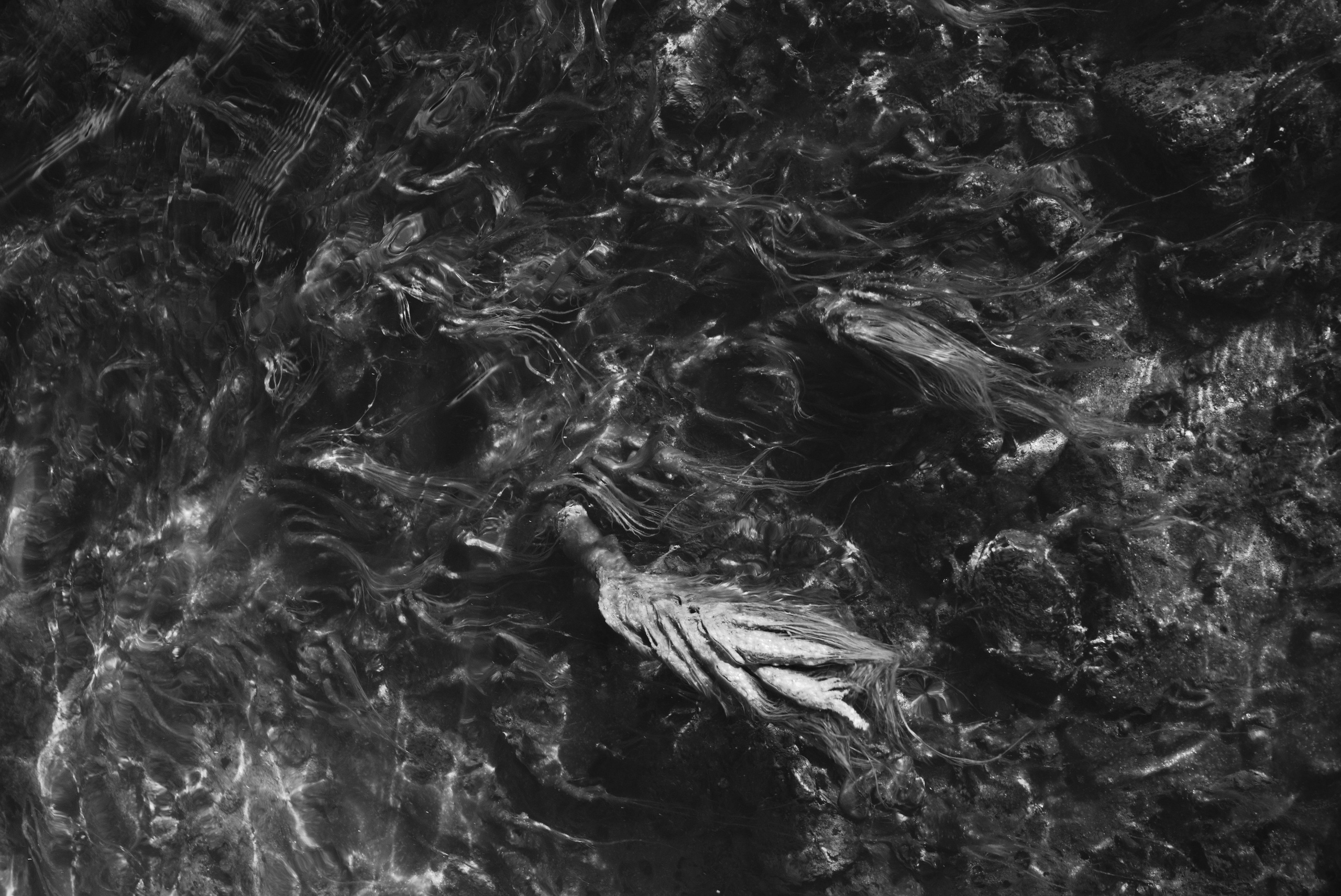 Pohjola. Artem Glukhan