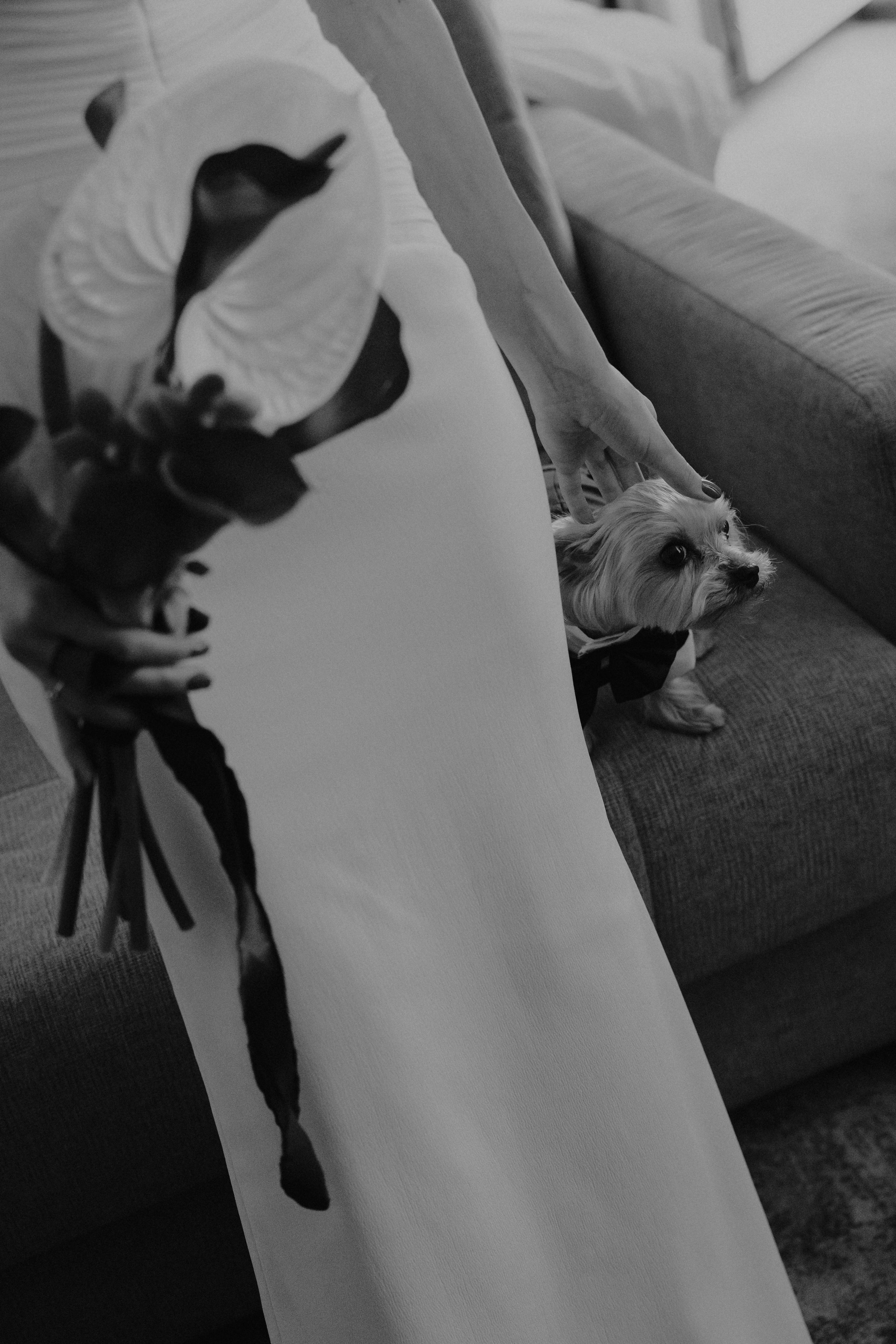 Даня & Олеся. Свадебный фотограф Красноярск Элина Леонова