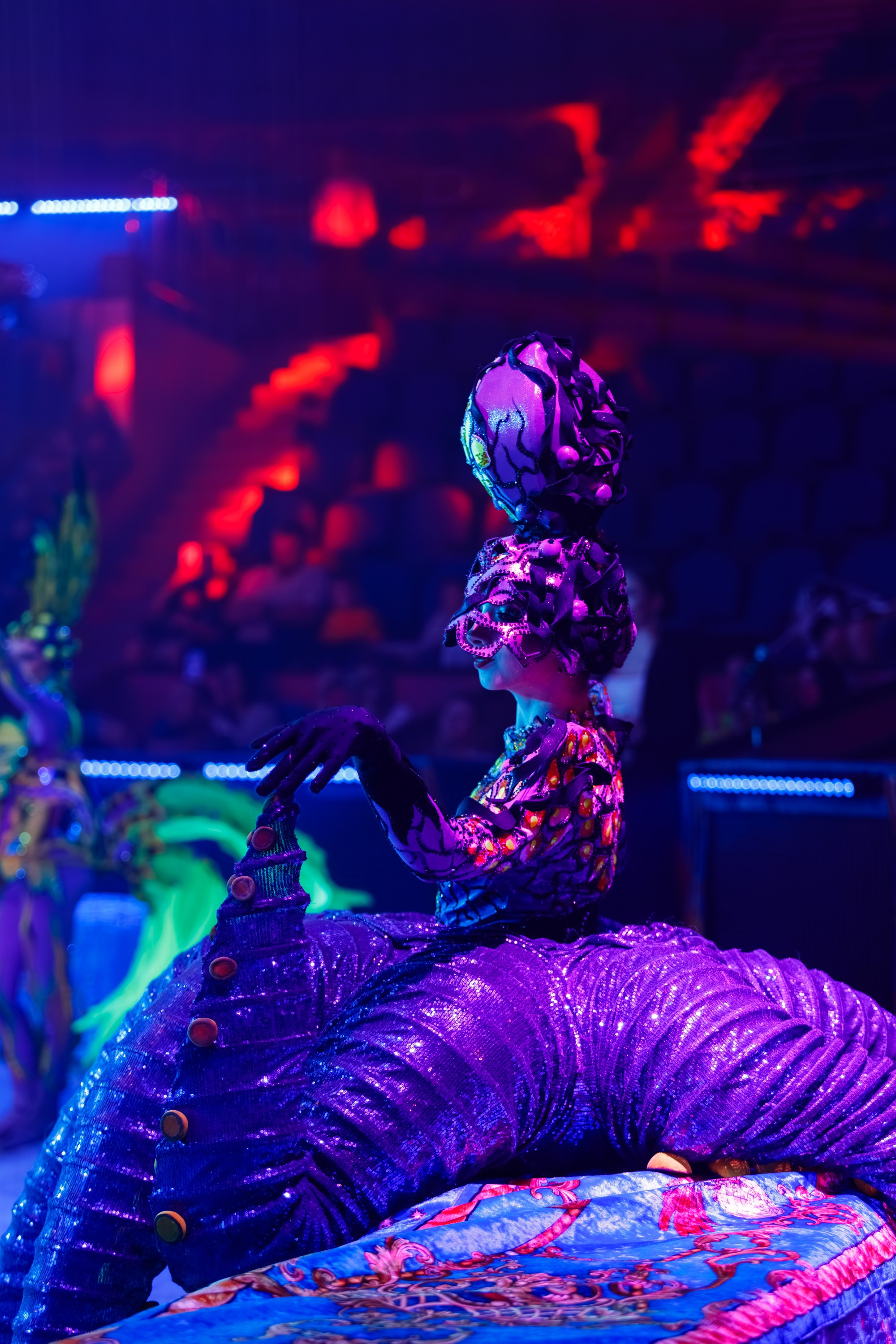 Сочинский росгорцирк Шоу Гии Эрадзе цирк. Профессиональный фотограф в Сочи Виктория Джой. Обучение