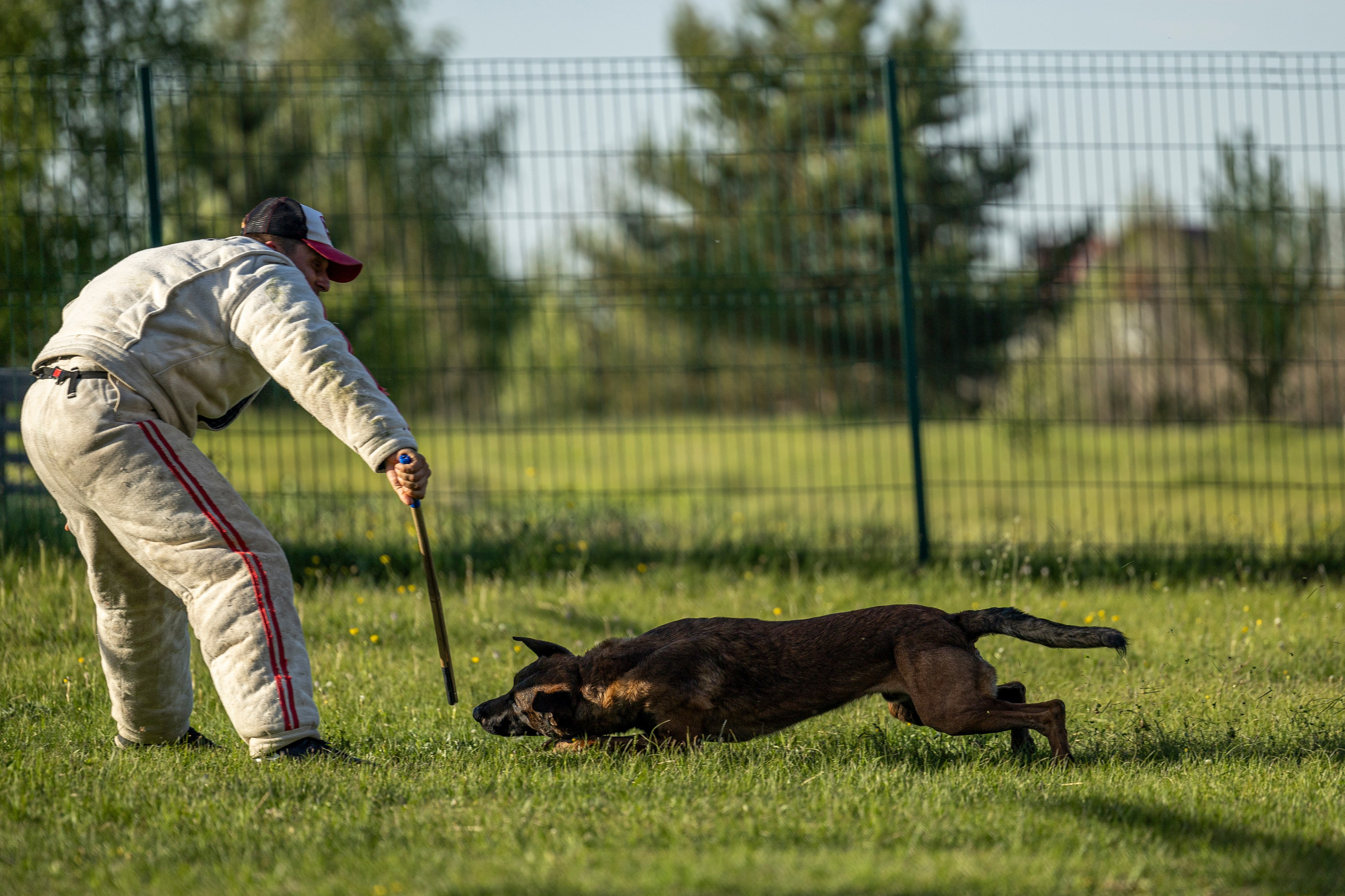 Испытания по мондьорингу в Нижнем Новгороде. Фотограф-анималист Анна Маринич