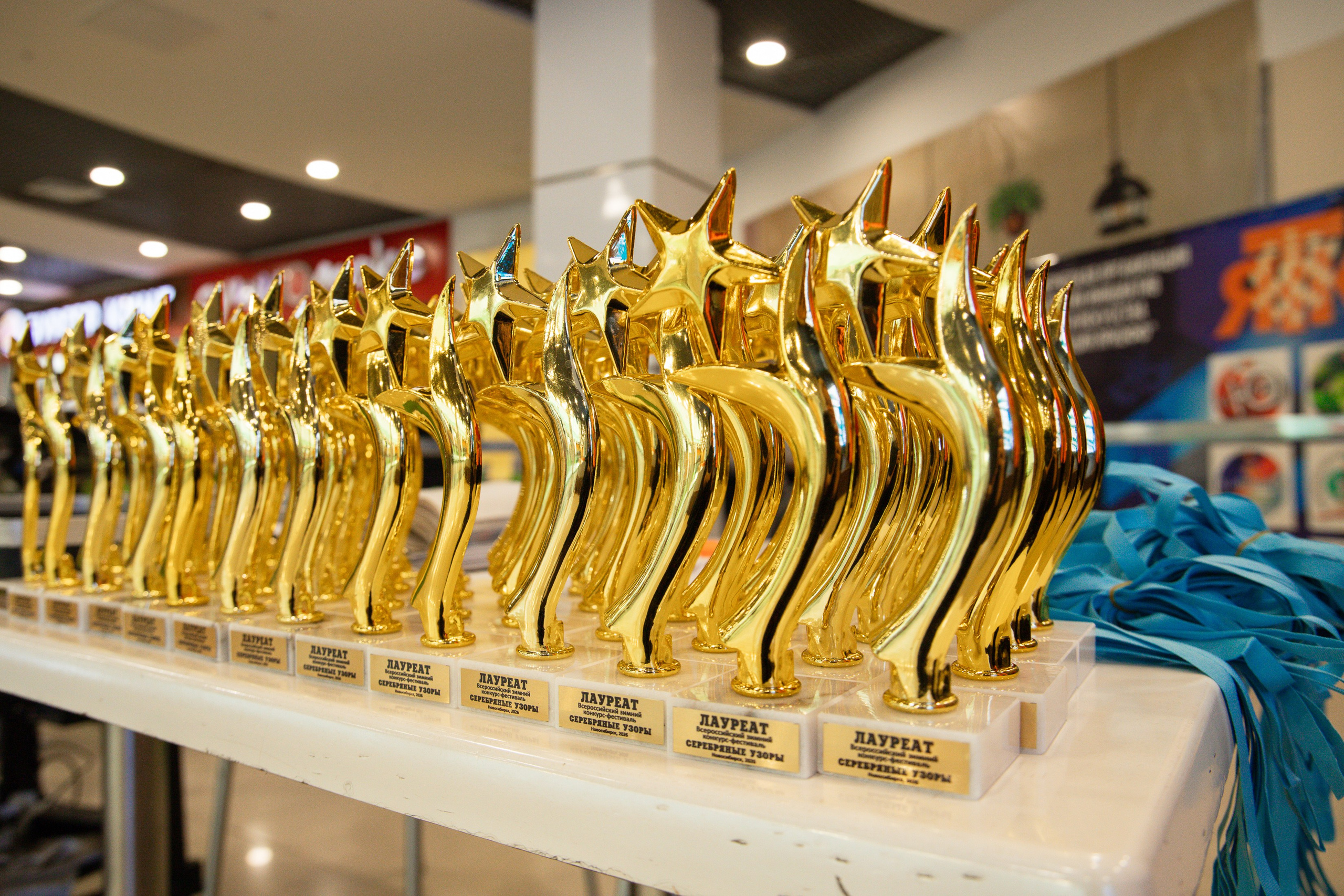 Конкурс «Серебрянные узоры». Фотограф Юлия Мальцева