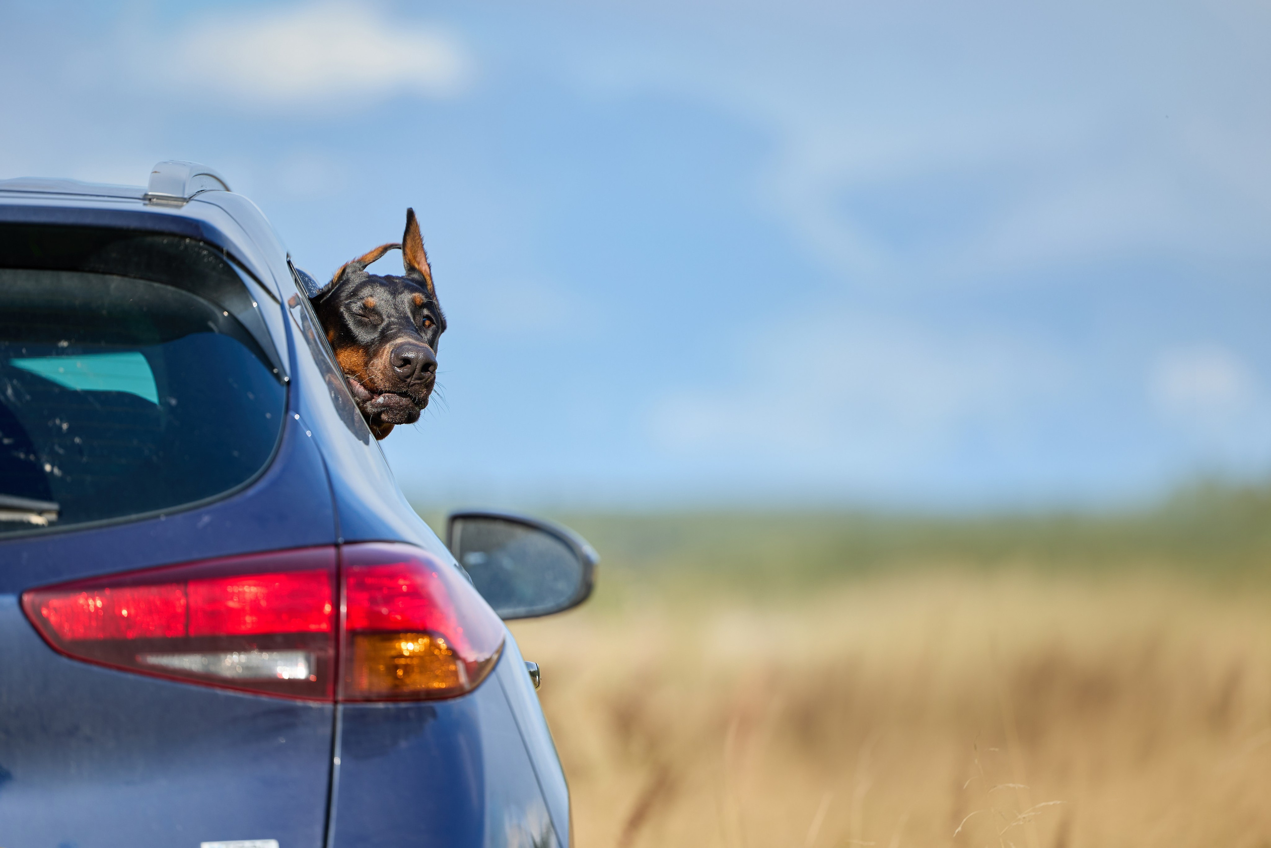 Фотограф Ирина Астор