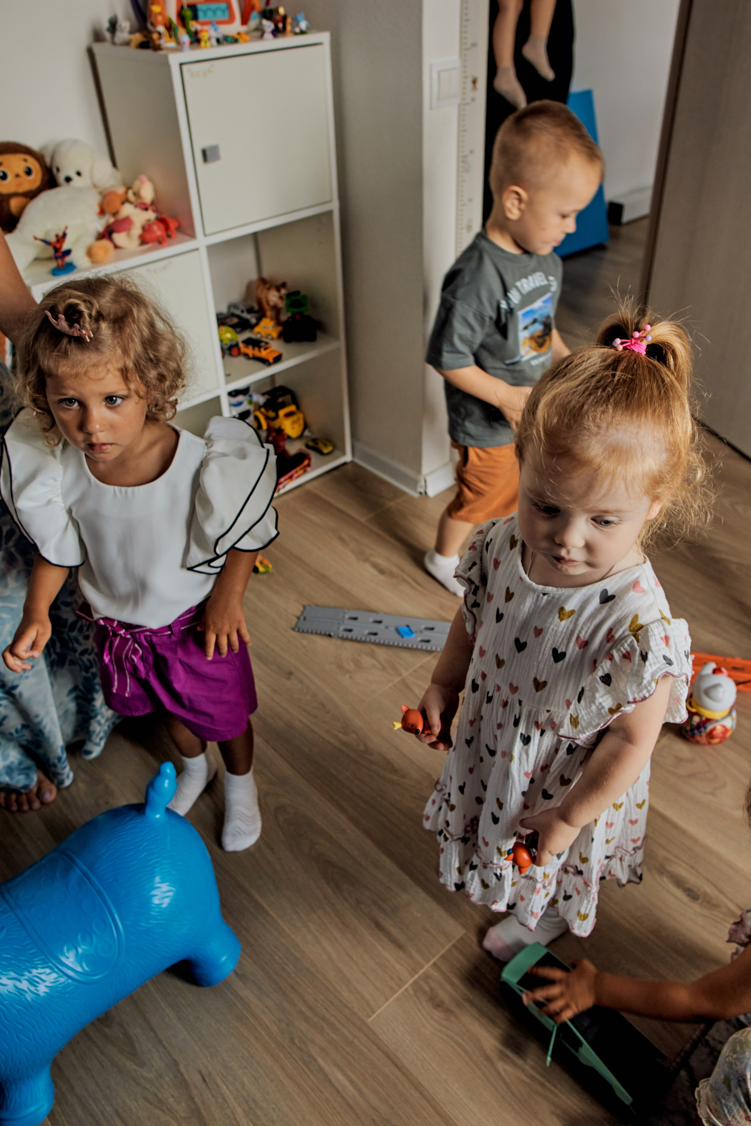 Три кота. Фотограф Москва