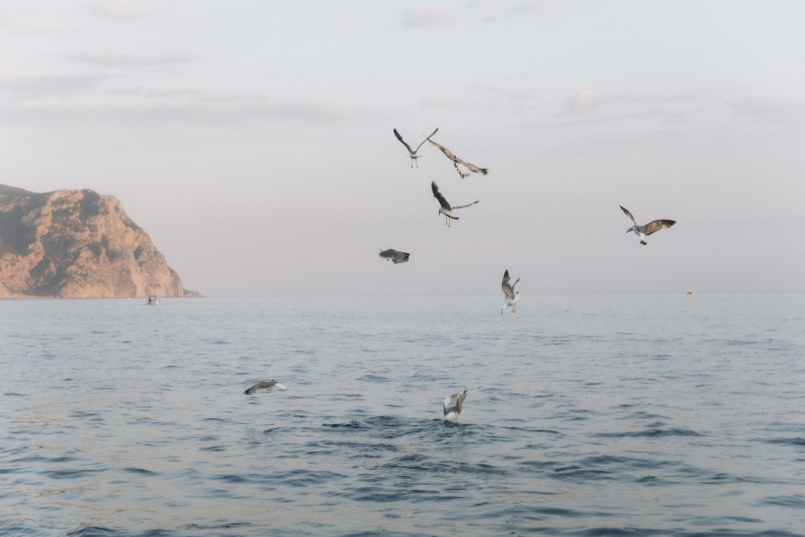 Susanna & Grigoriy. Свадебный фотограф в Севастополе и Крыму| Tanya Sher